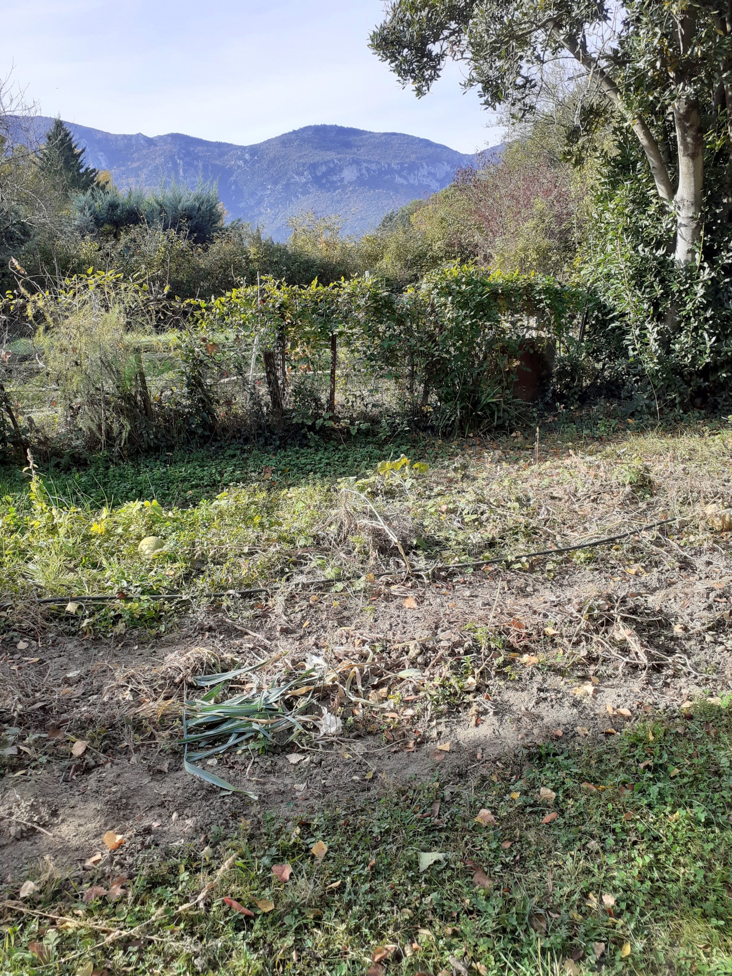 Maison de maître de caractère entièrement restaurée avec jardin non attenant — photo 18