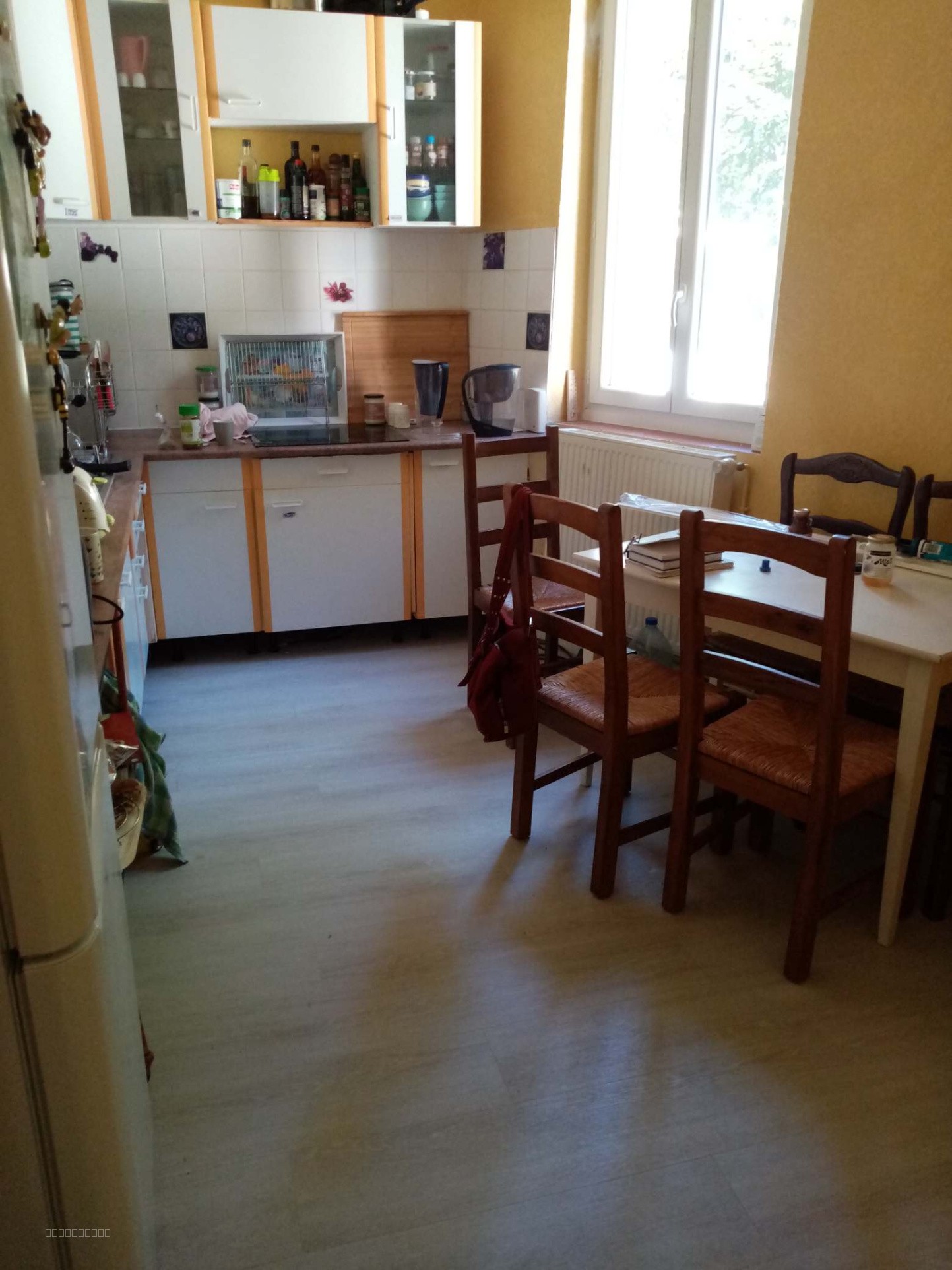 Grande maison de ville, chambre d'hôtes ou gîtes dans un village touristique de la Haute-Vallée de l'Aude — photo 14