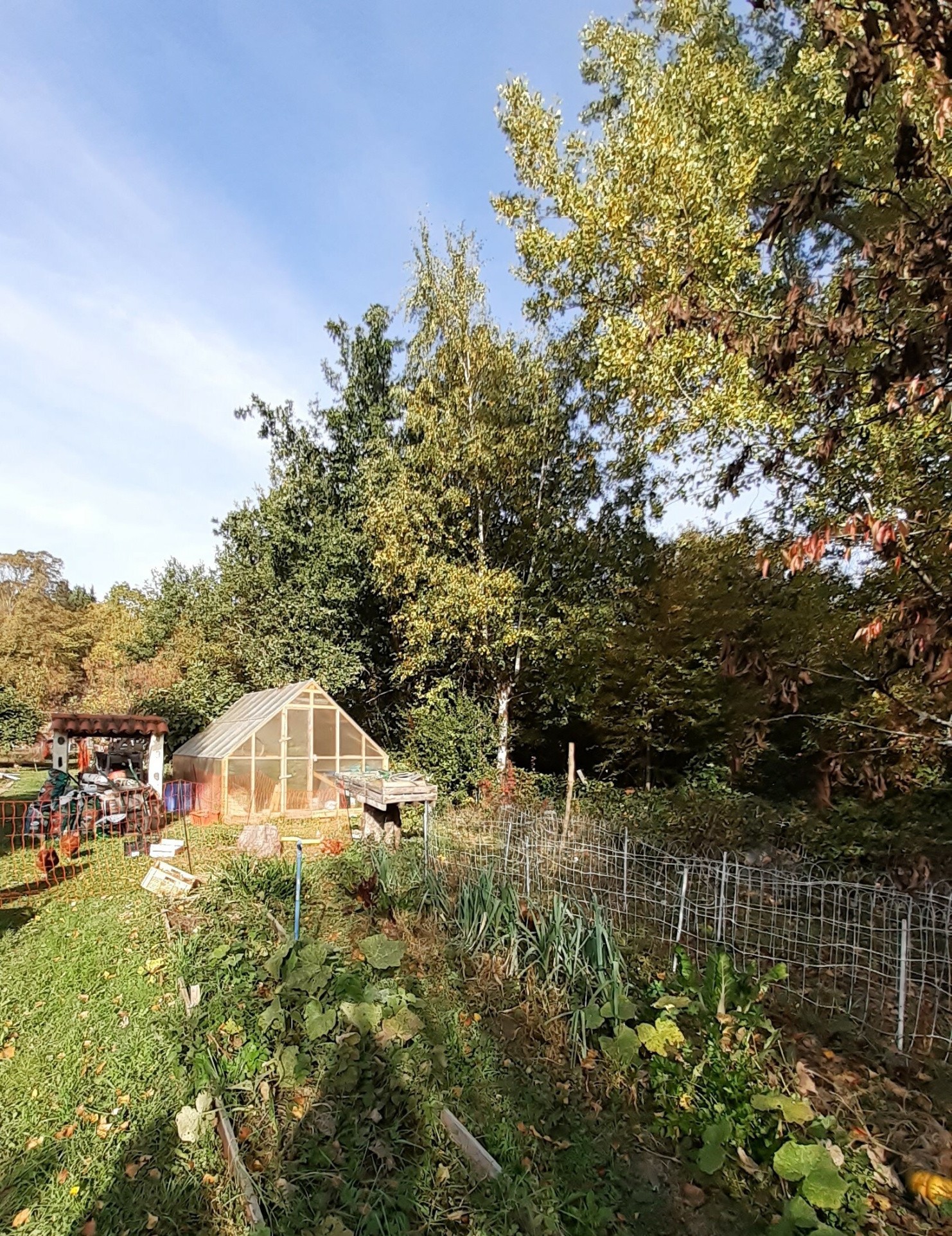 Maison de maître de caractère entièrement restaurée avec jardin non attenant — photo 16