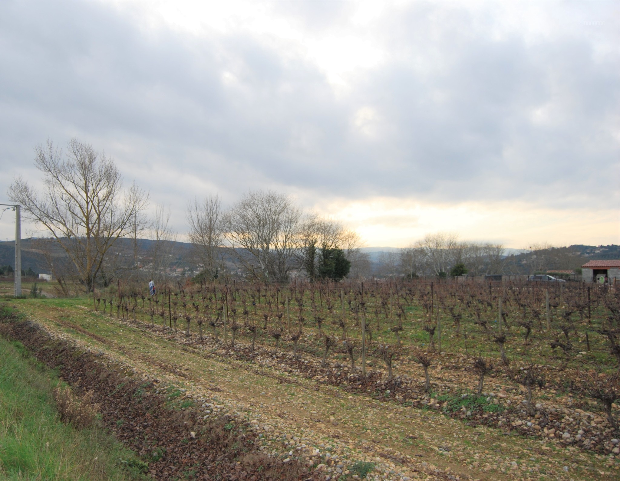 Limoux, Terrain à batir de 2500 M2