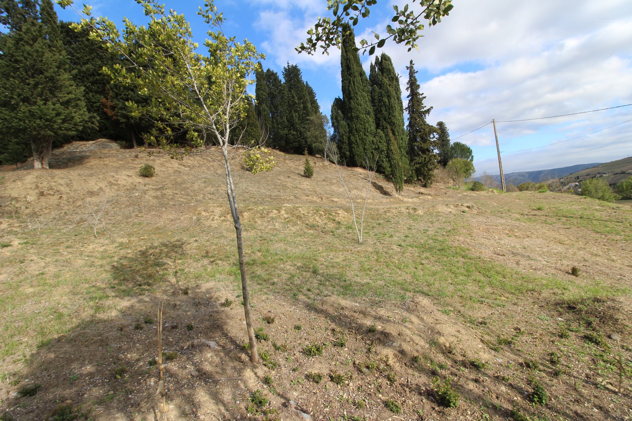 LIMOUX, terrain à bâtir de 1515 m2 — photo 3