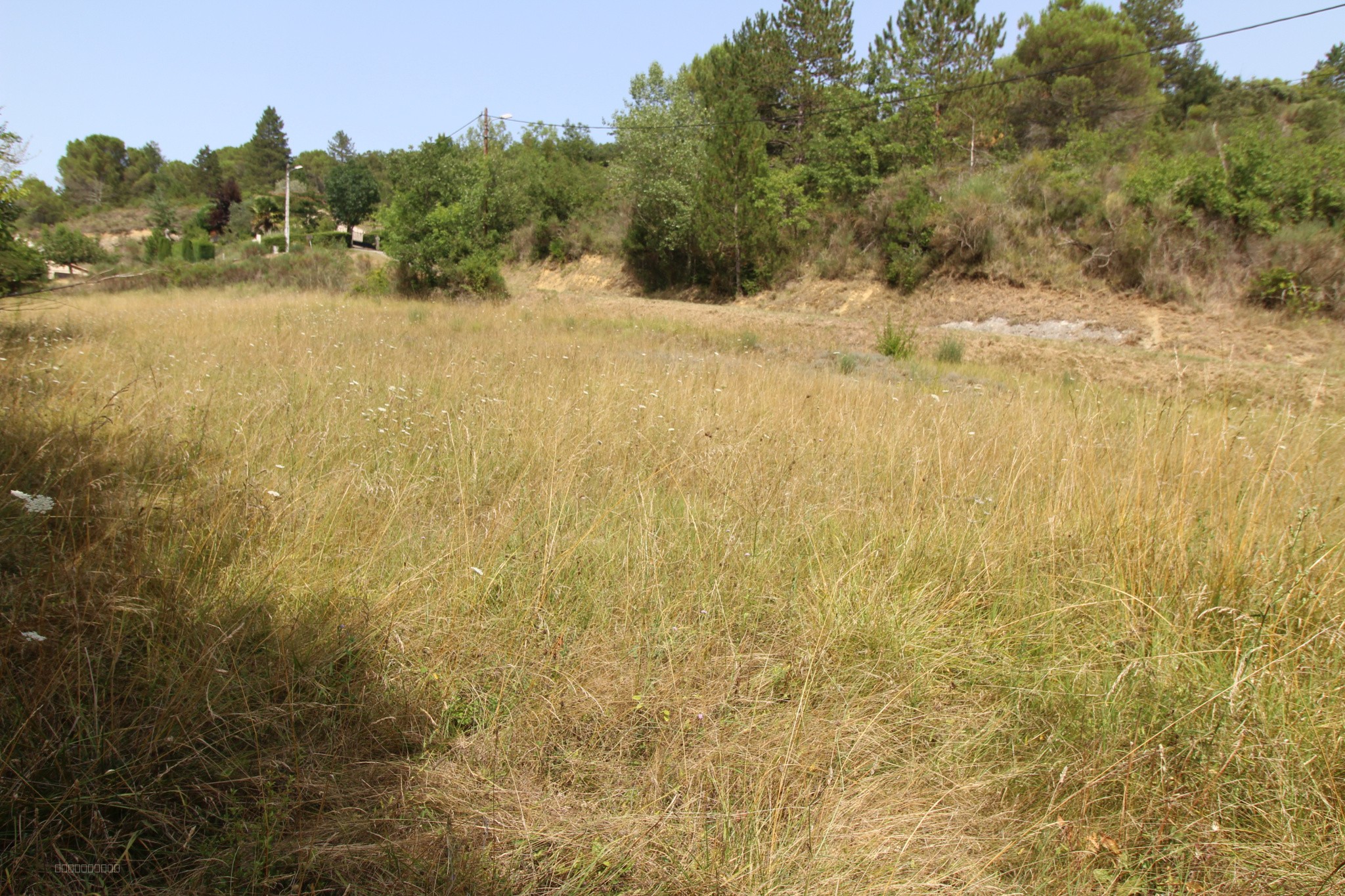 LOT DE TERRAIN A BATIR D'UNE CONTENANCE TOTALE DE 2041 m2 — photo 2