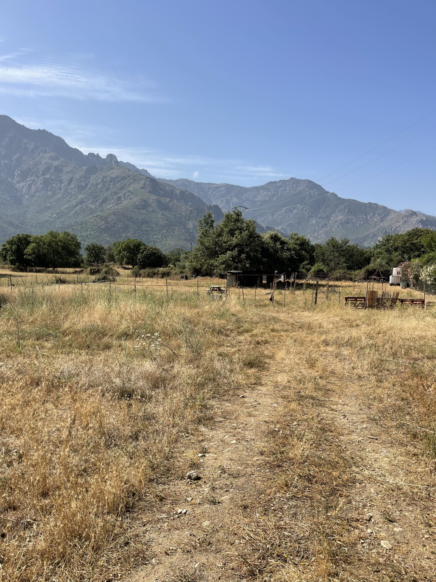 TERRAIN constructible 2790 m2