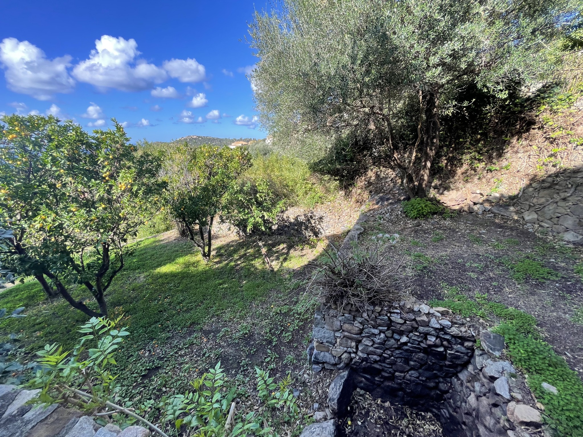 Villa vue mer avec piscine — photo 5