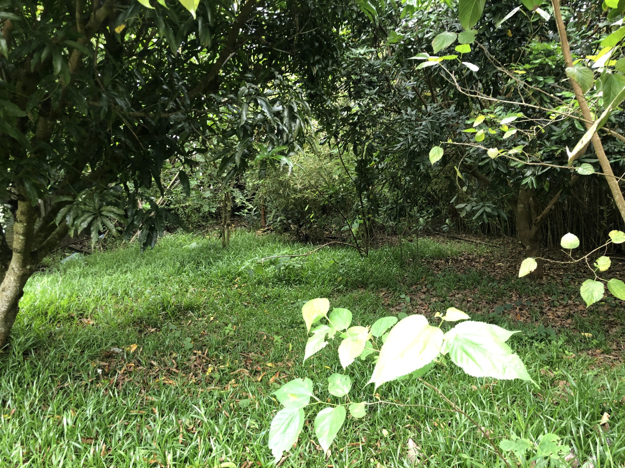 Parcelle de terrain de 412 m2 — photo 5