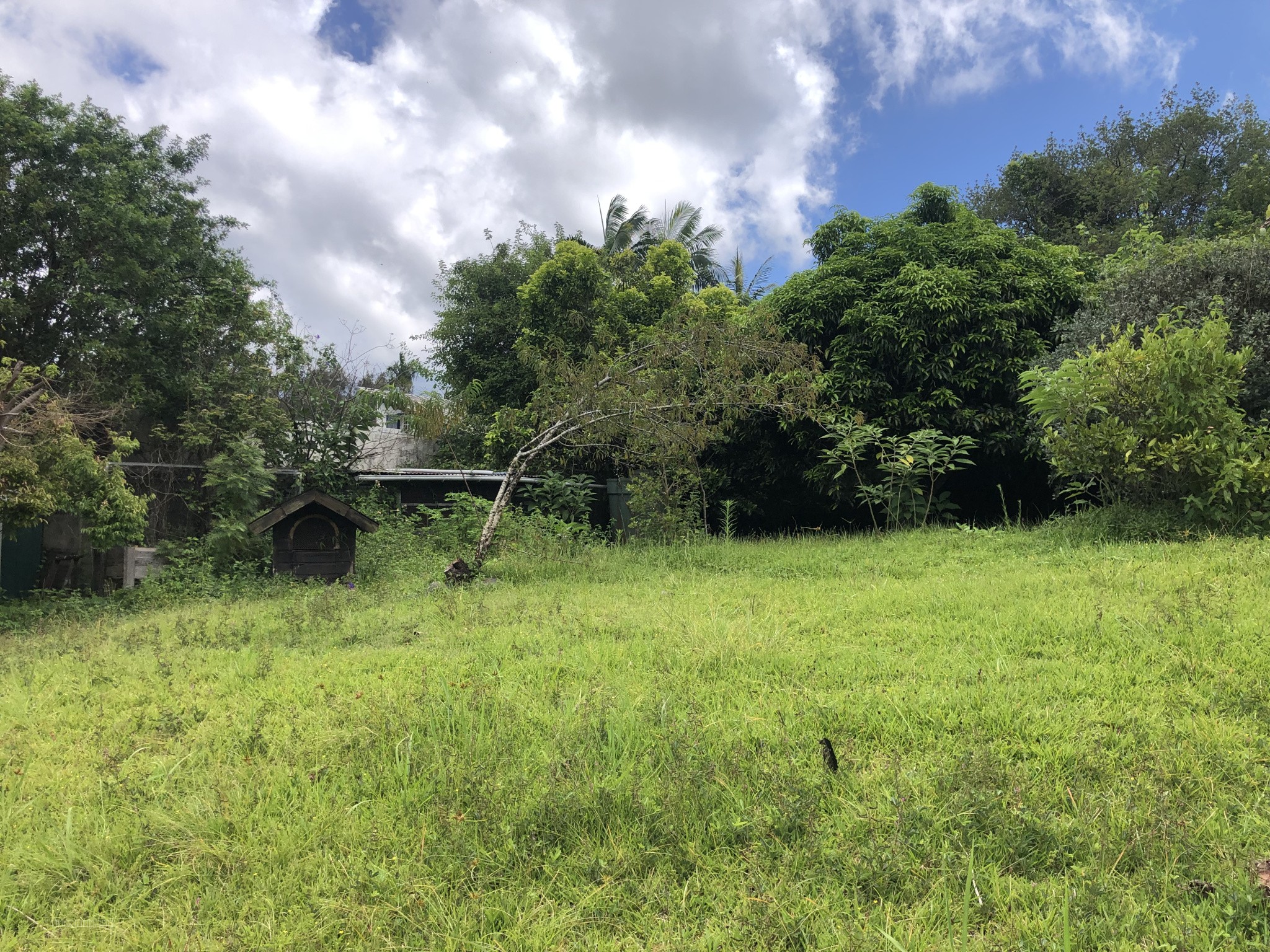 Parcelle de terrain de 412 m2 — photo 2