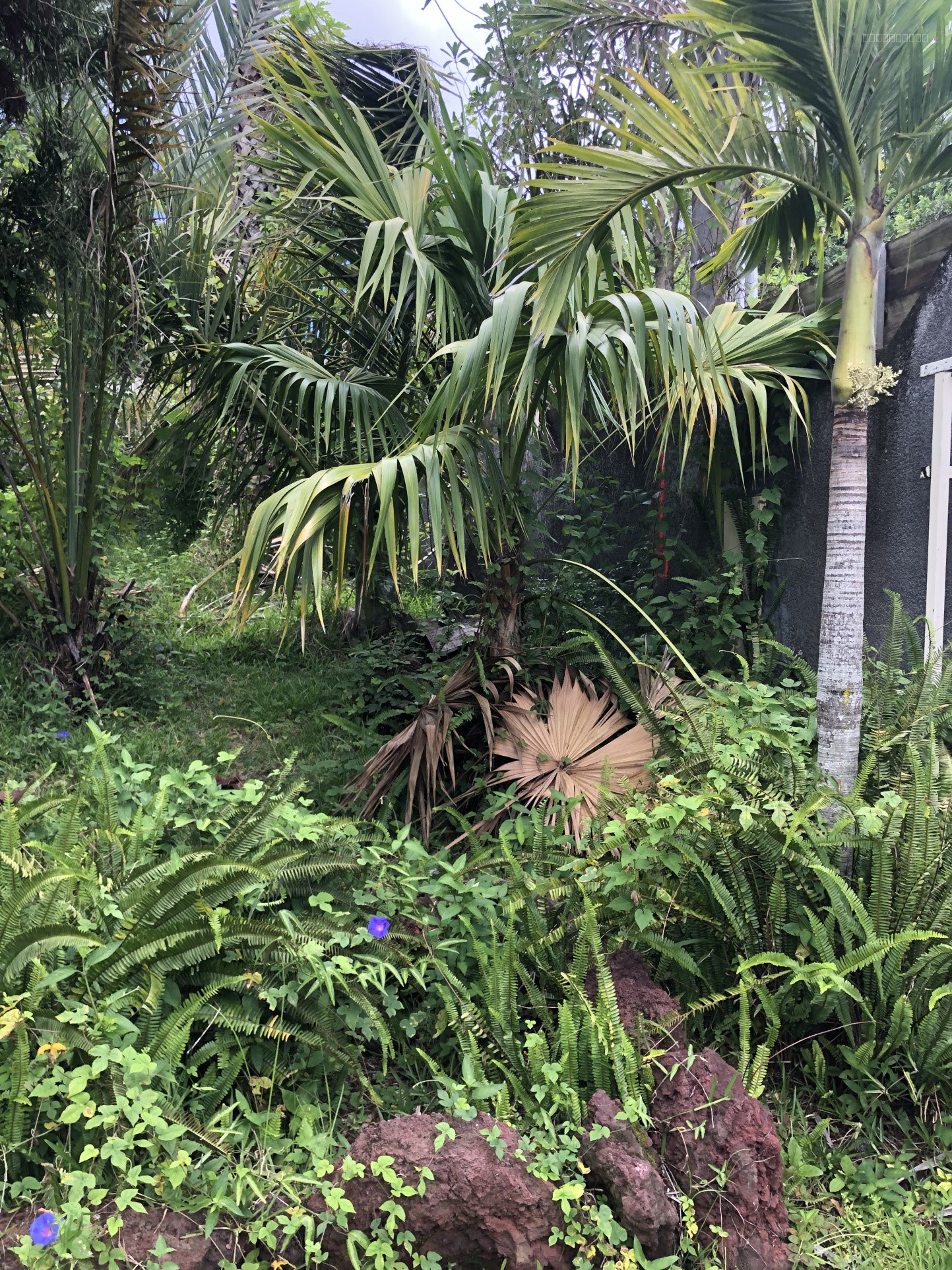 Parcelle de terrain de 412 m2 — photo 7