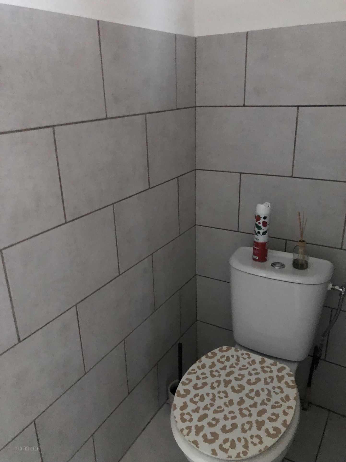 Appartement T3 Duplex — photo 4