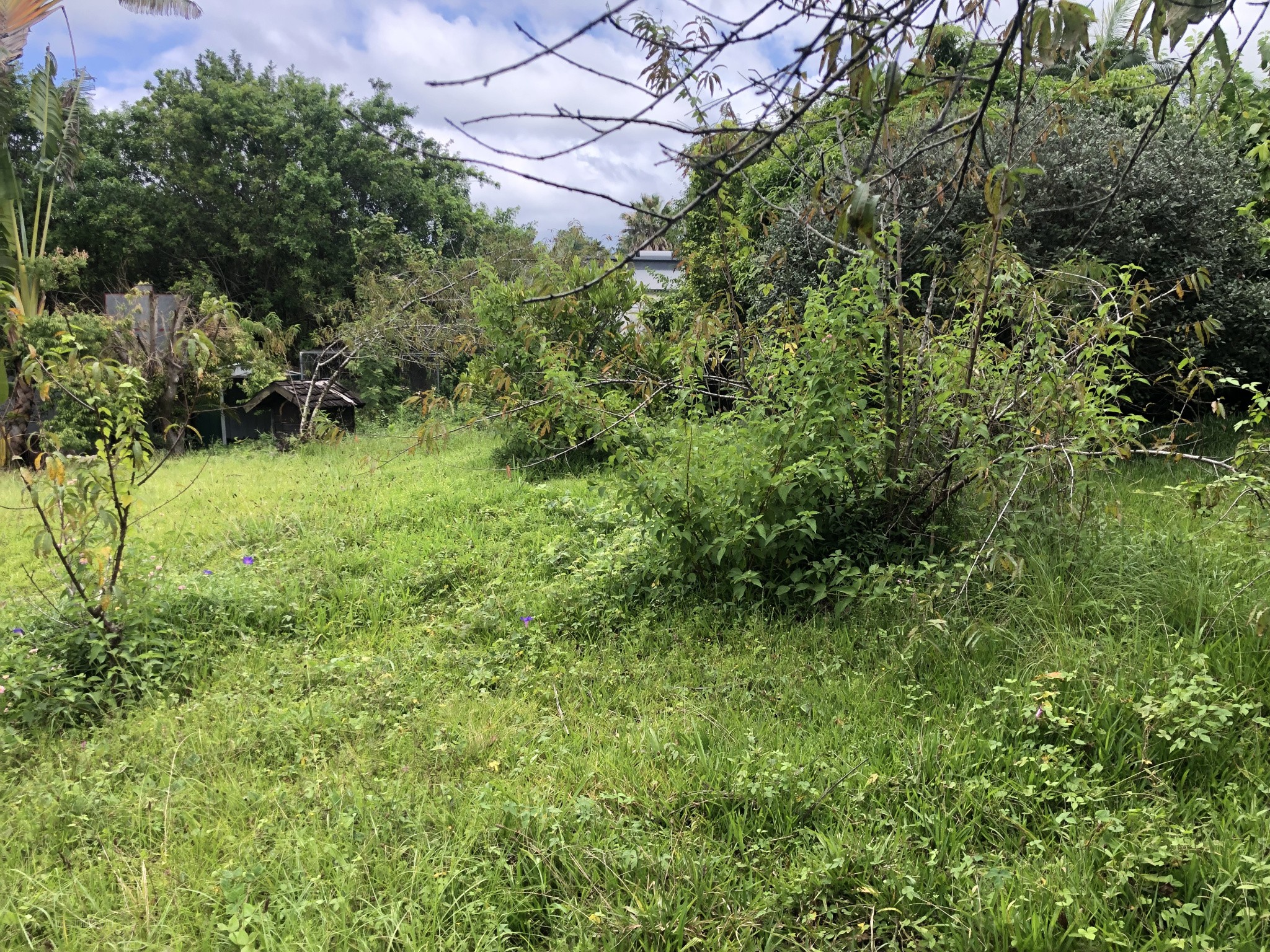 Parcelle de terrain de 412 m2 — photo 4