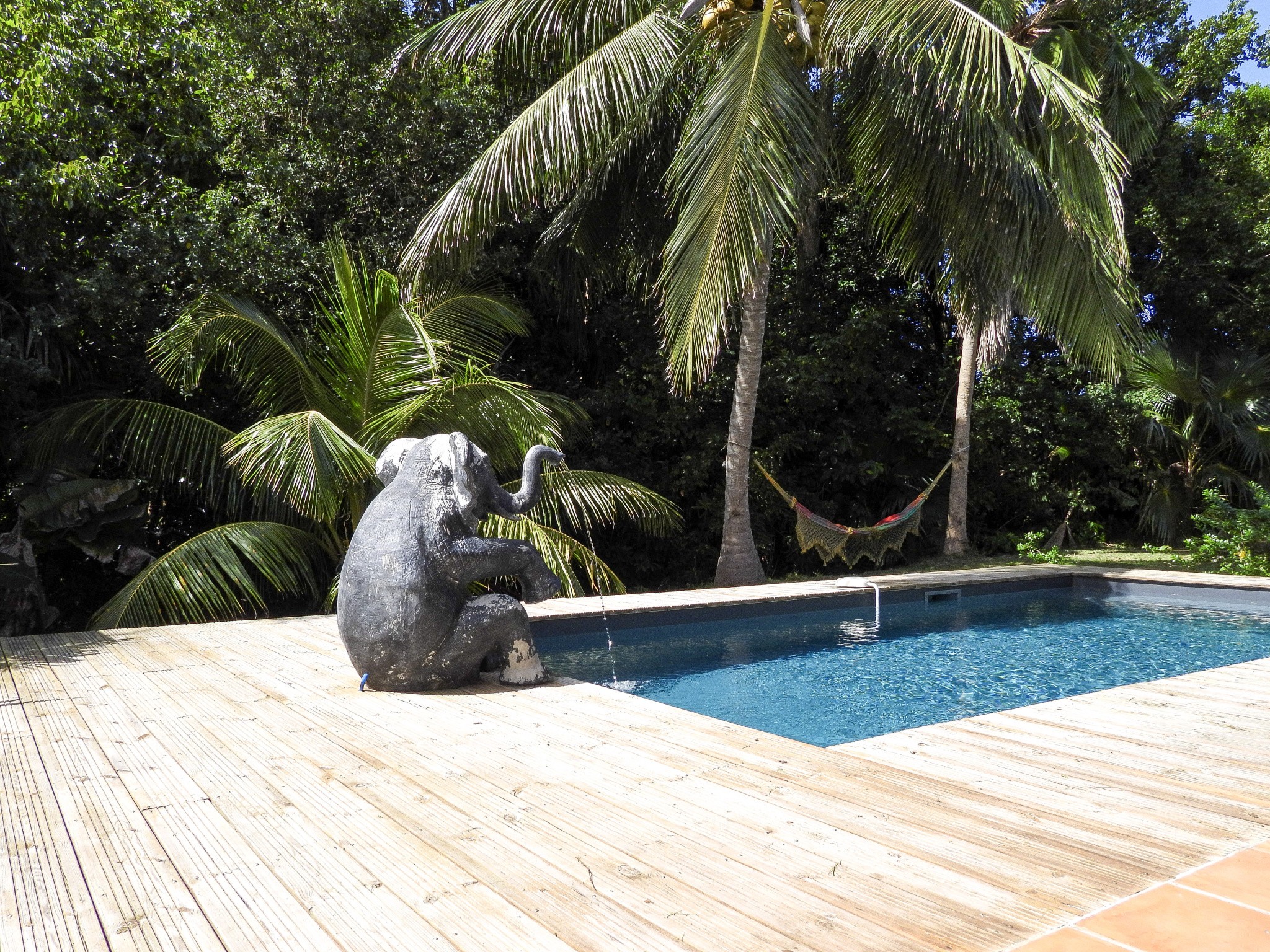 Le Moule Villa avec Piscine — photo 16