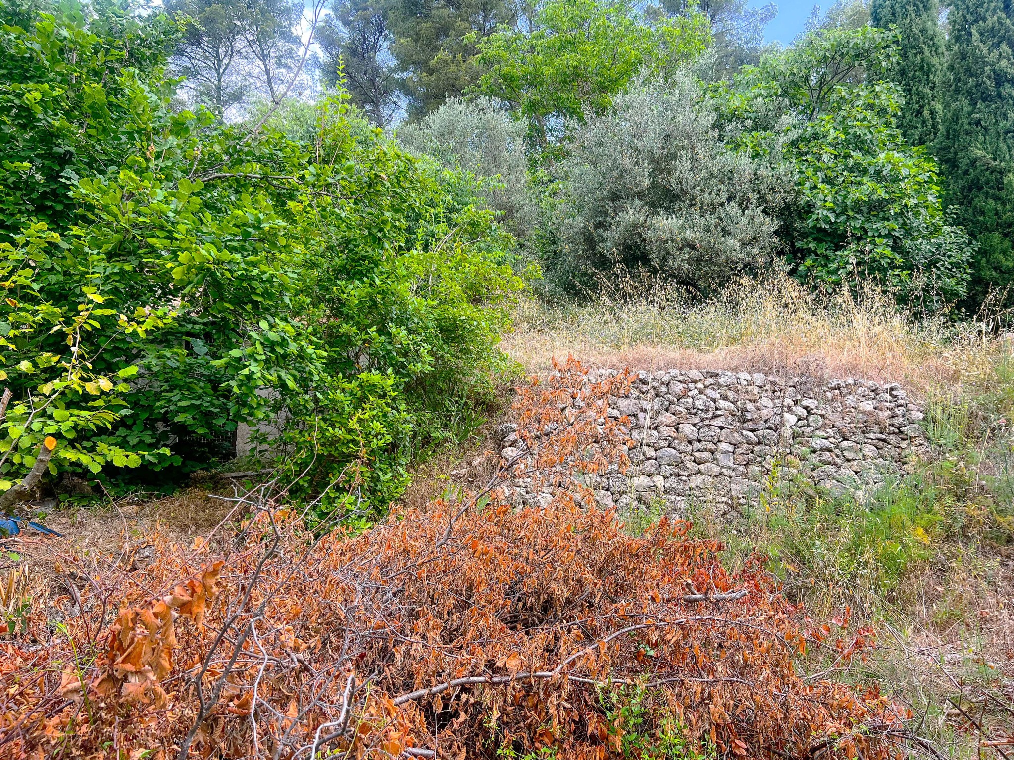 Montfort Sur Argens, terrain constructible de 940 m2 — photo 2