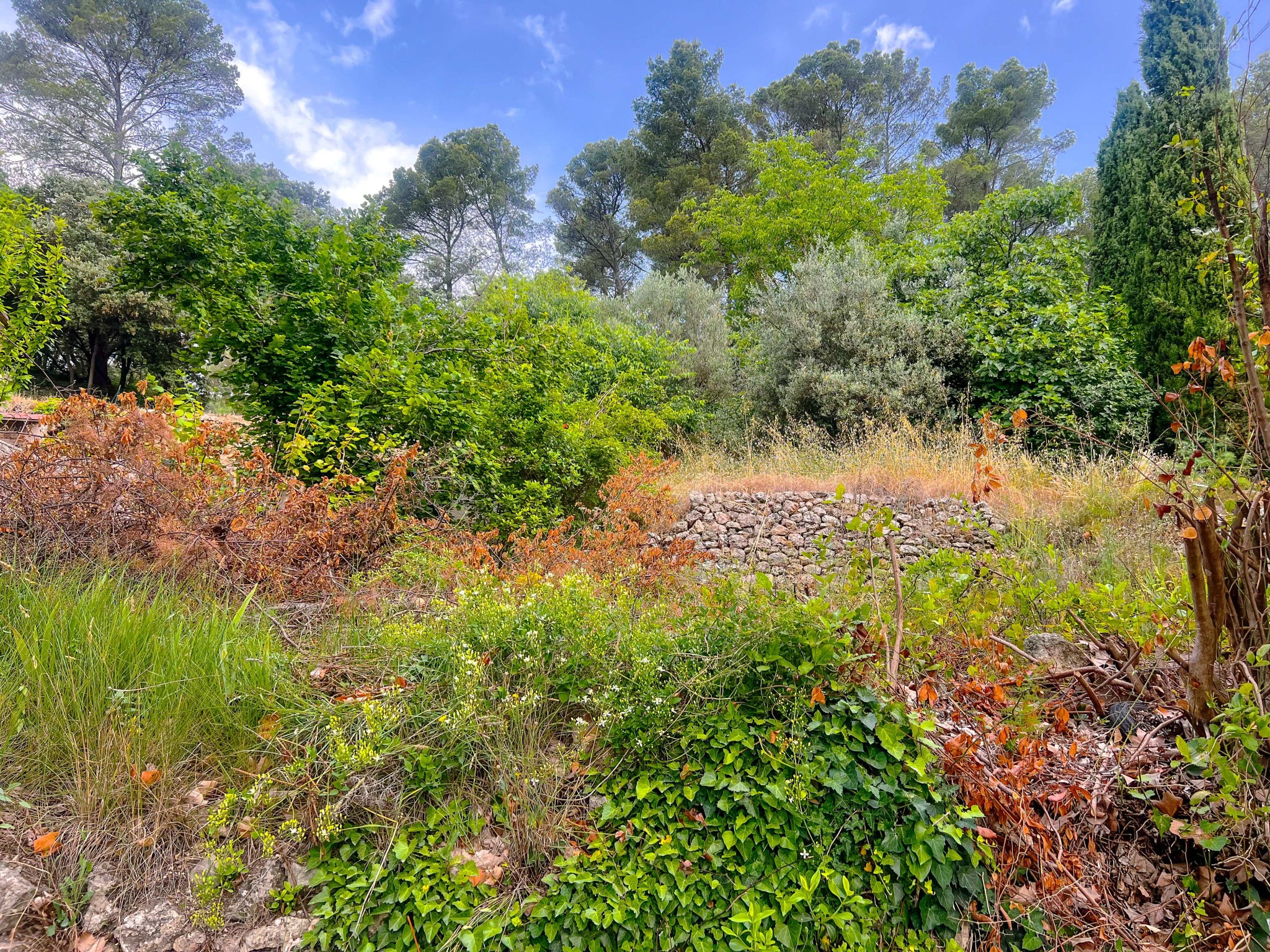Montfort Sur Argens, terrain constructible de 940 m2 — photo 1
