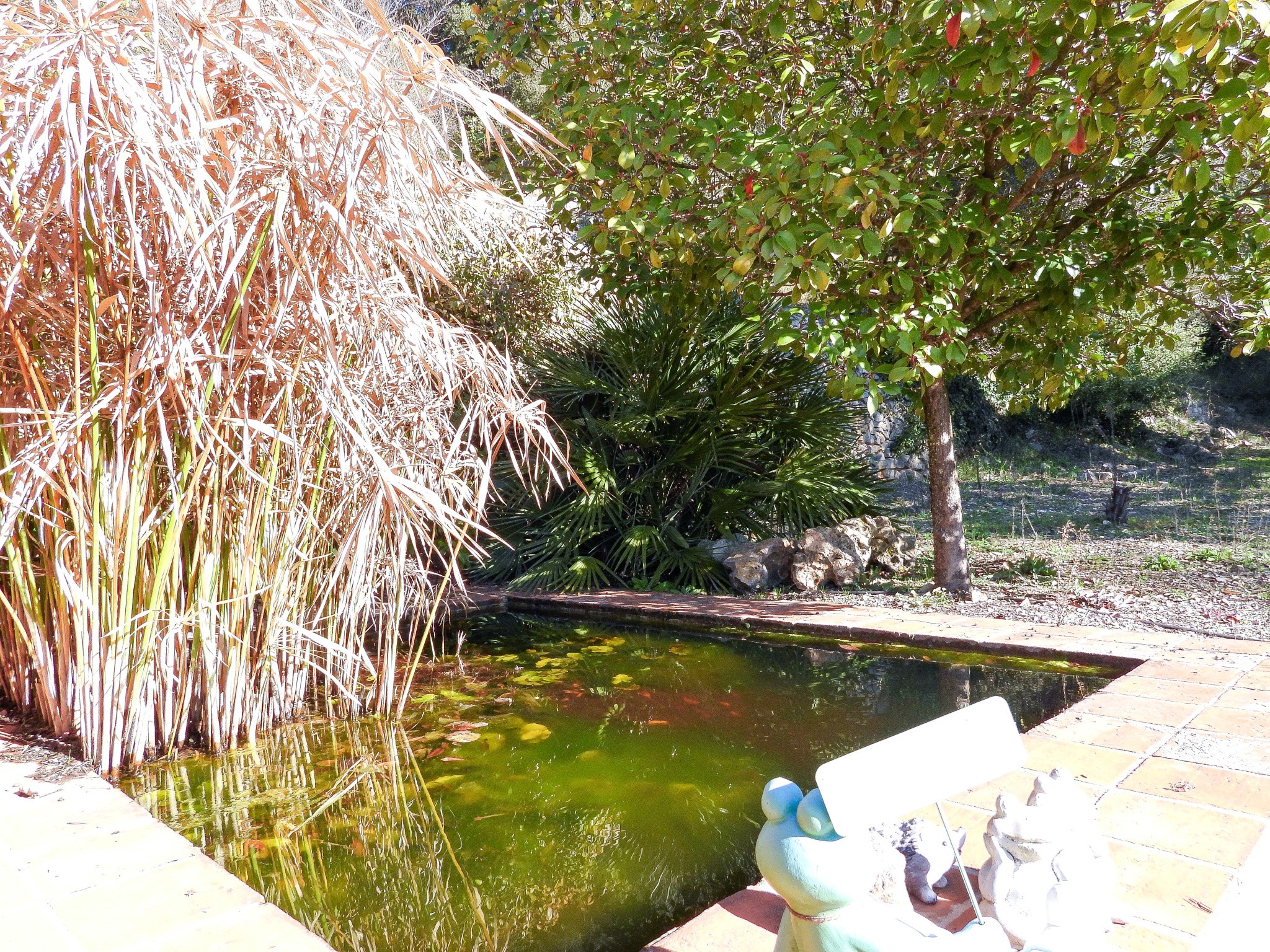 Entrecasteaux Villa 7 pièce(s) 166m2 Terrain 3205m2 Piscine Dépendances — photo 12