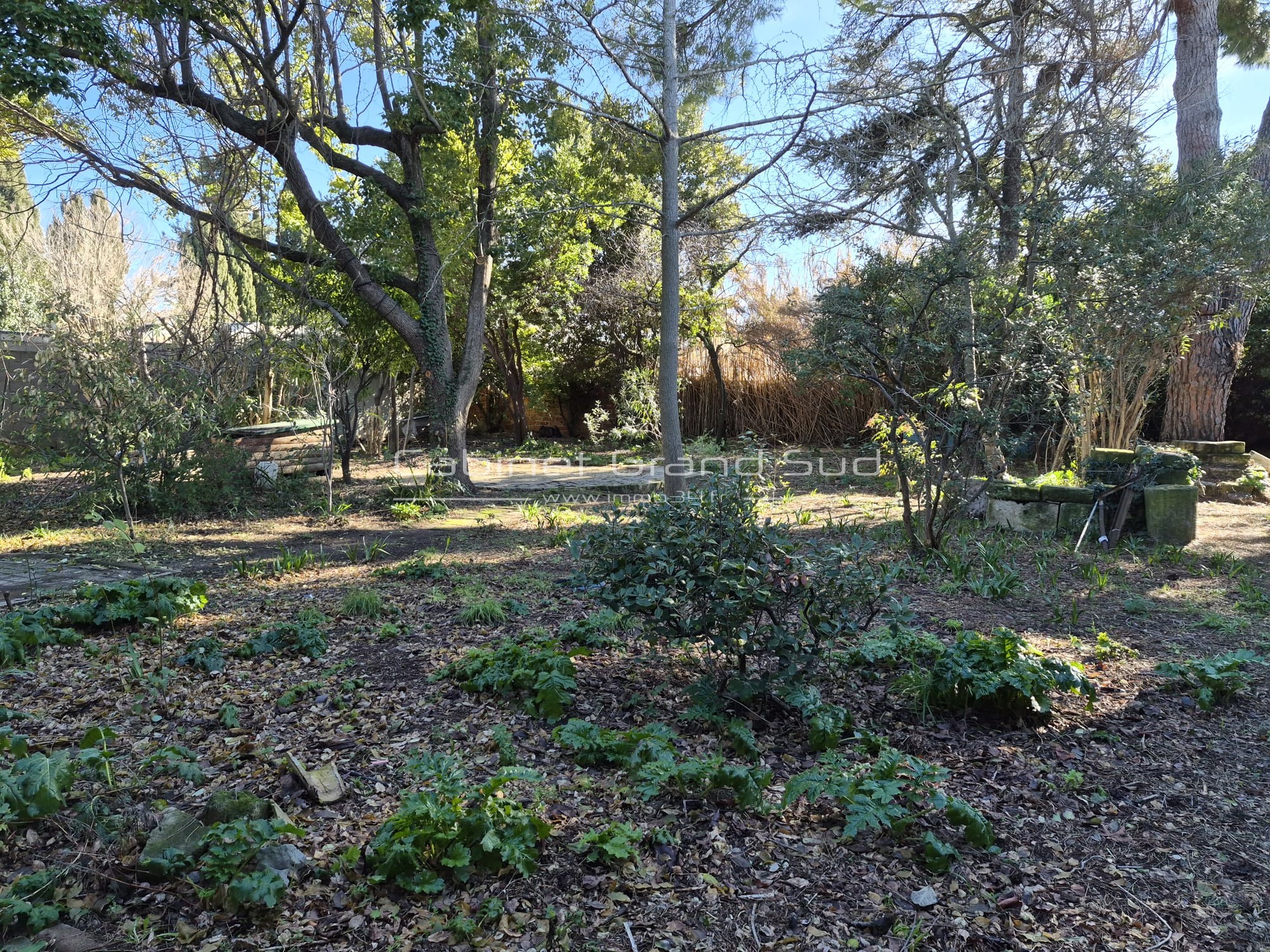 À Mauguio (34), maison à acheter avec Cabinet Grand Sud — photo 7
