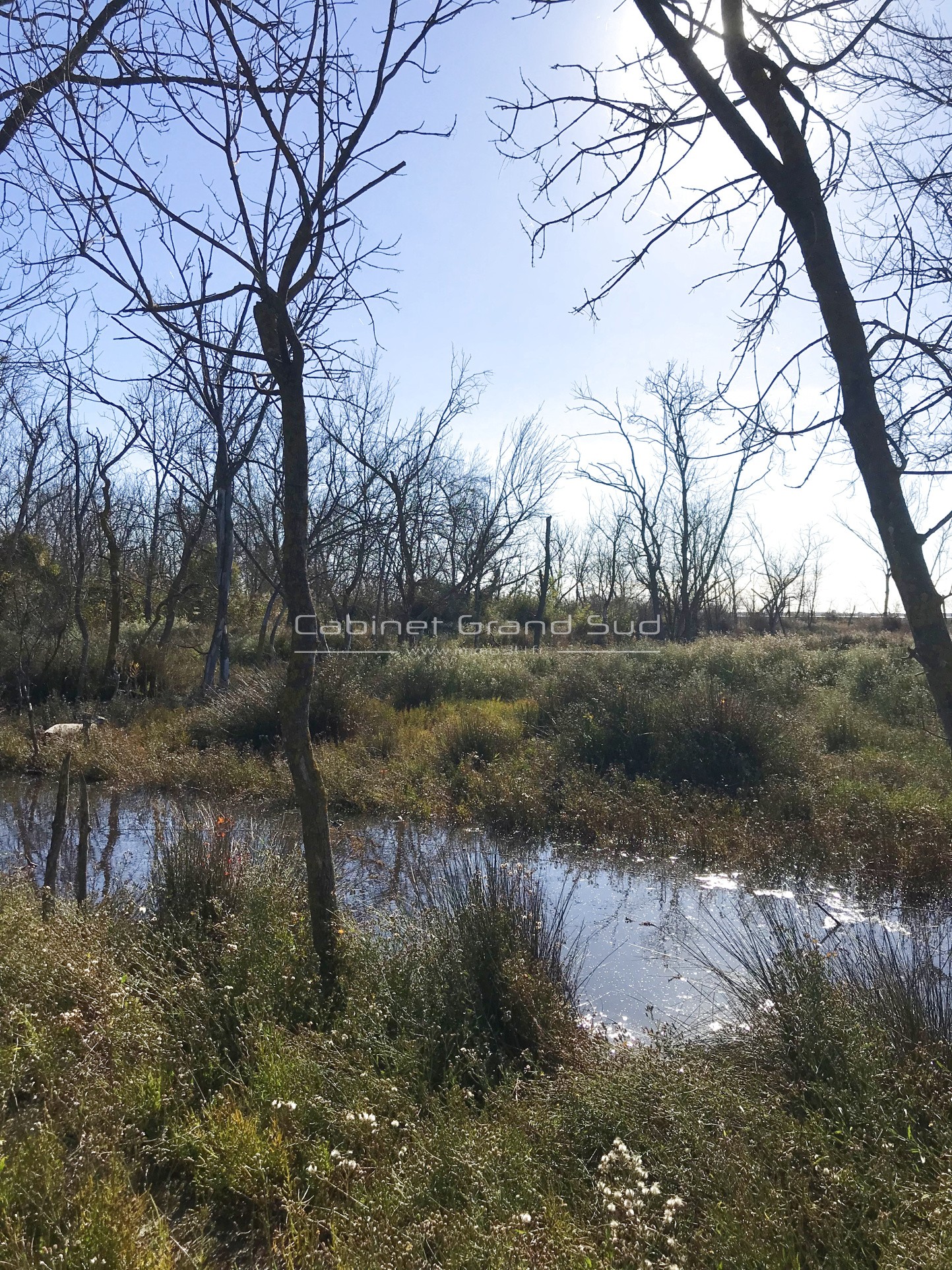 Vente Terrain de 1488m2 avec Mazet à Renover à deux pas de l'etang de l'Or — photo 2