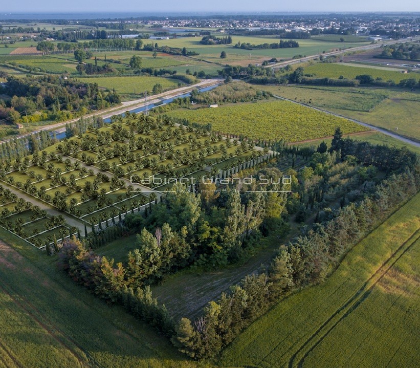 MUDAISON - Terrain de loisir 100m2 dans jardin partagé — photo 4
