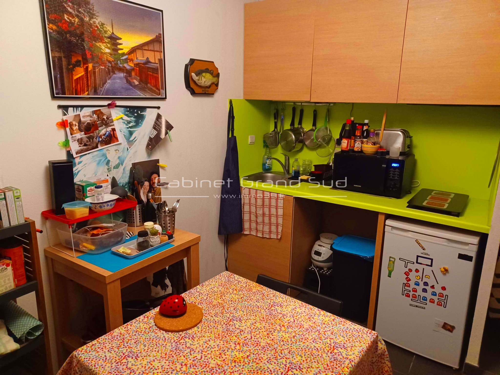 A vendre à Castelnau le Lez studio avec place de parking — photo 3