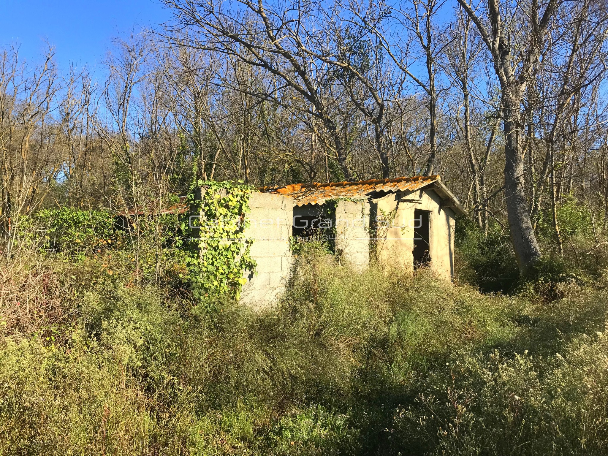 Vente Terrain de 1488m2 avec Mazet à Renover à deux pas de l'etang de l'Or — photo 4