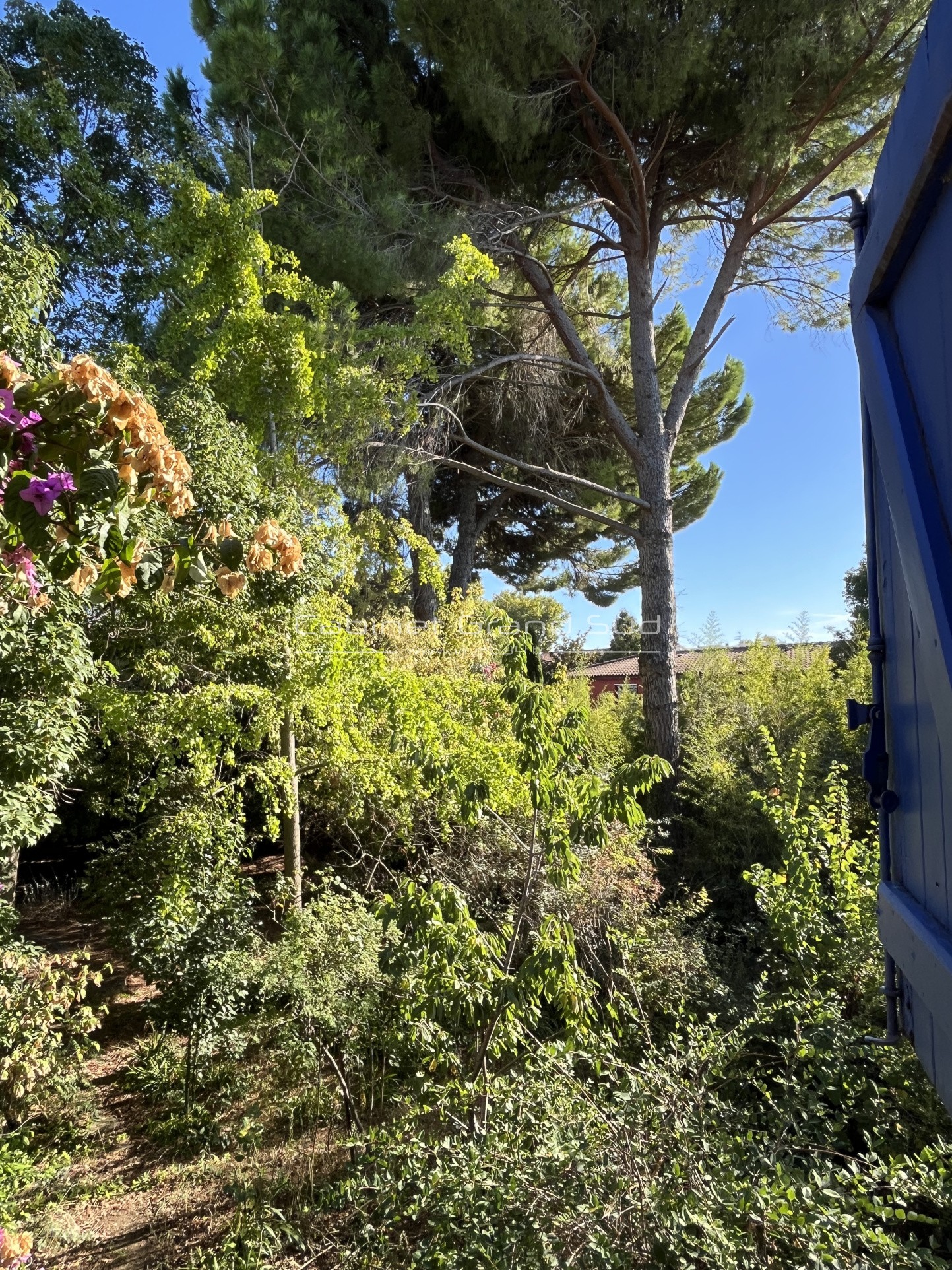À Mauguio (34), maison à acheter avec Cabinet Grand Sud — photo 6