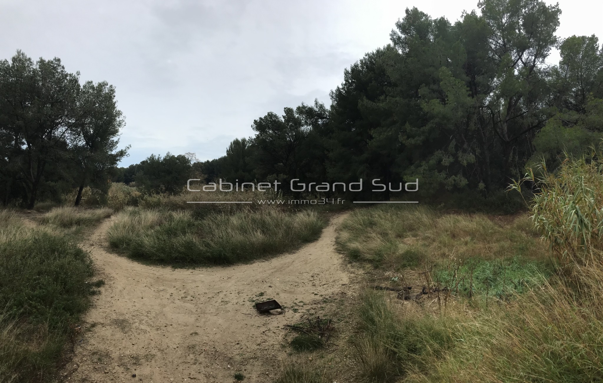 Vente Terrain Agricole avec Bois — photo 3