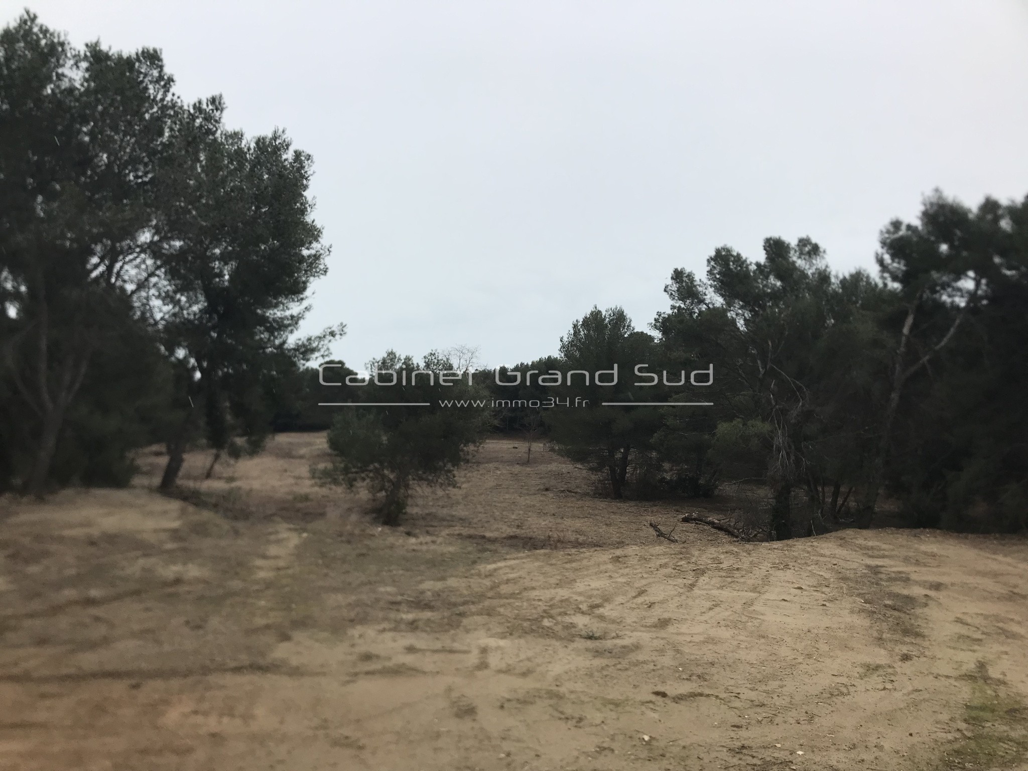 Vente Terrain Agricole avec Bois — photo 2