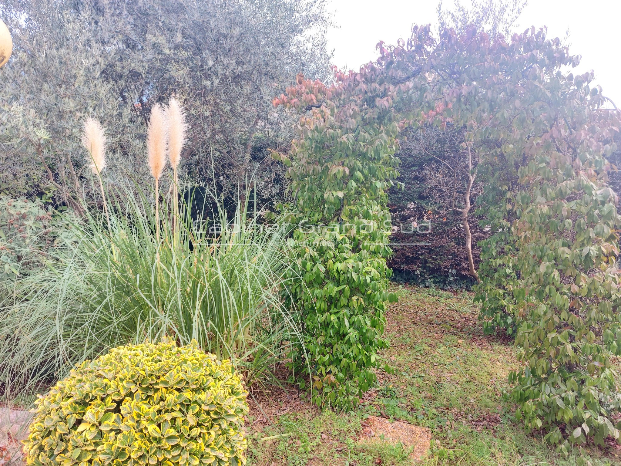 A vendre, Castelnau-le-lez, maison familiale de 150 m2 — photo 6