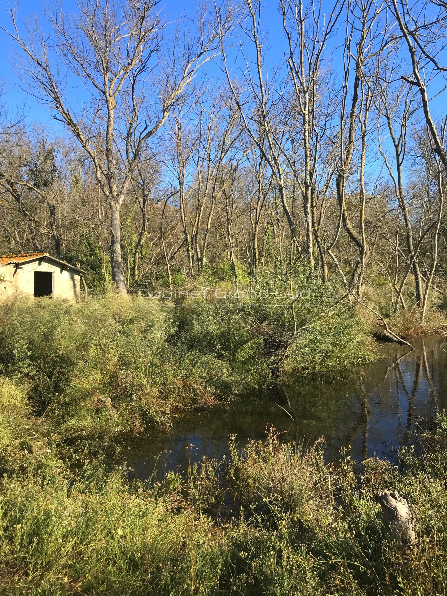 Vente Terrain de 1488m2 avec Mazet à Renover à deux pas de l'etang de l'Or — photo 3
