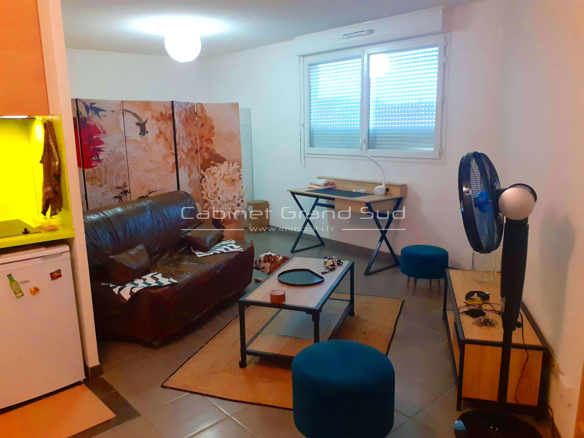 A vendre à Castelnau le Lez studio avec place de parking — photo 1
