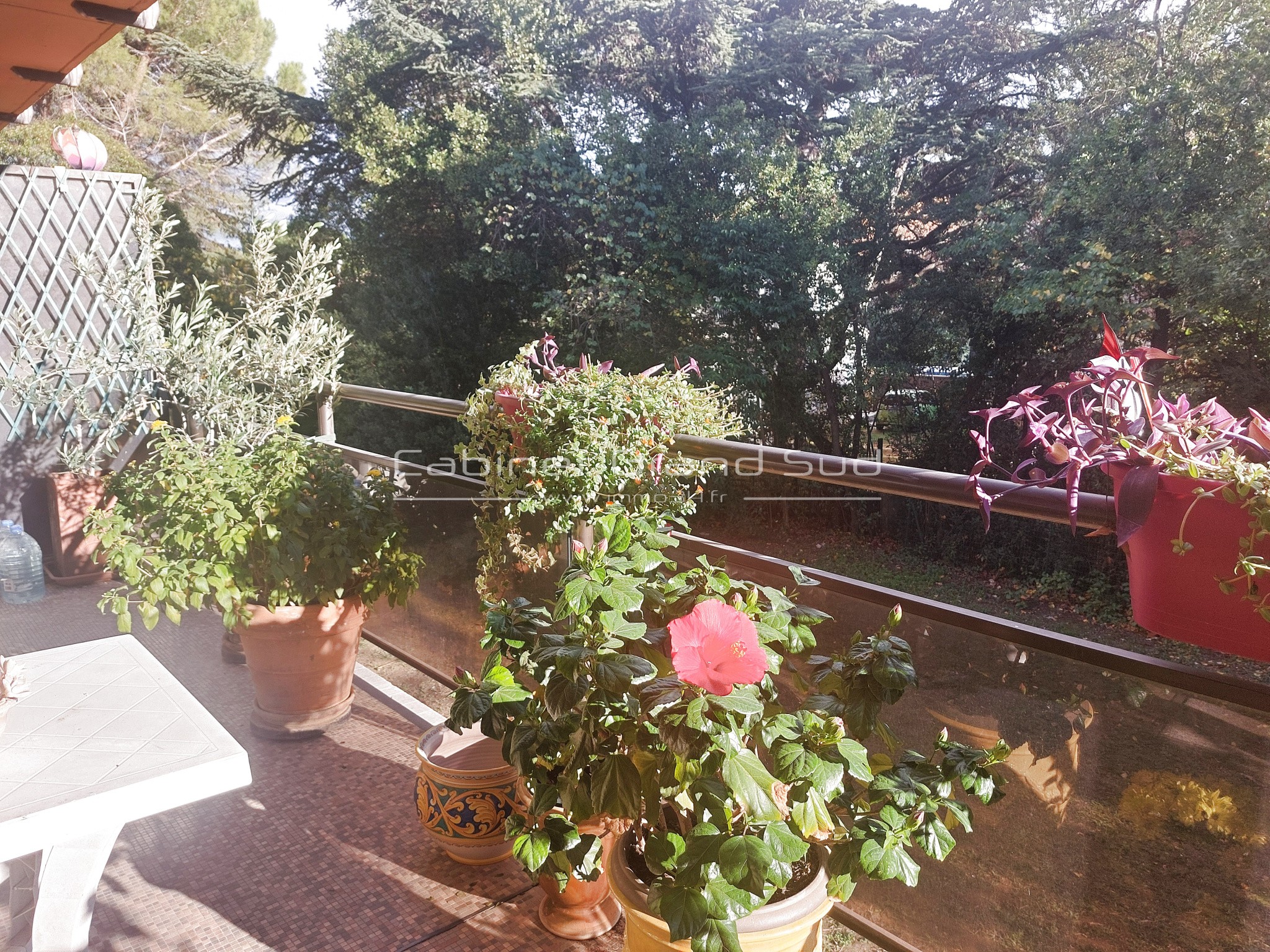 A vendre Montpellier proche Lycée Jules Guesdes, Appartement de type 5 de 123.15 m2 avec 2 terrasses,garage — photo 10