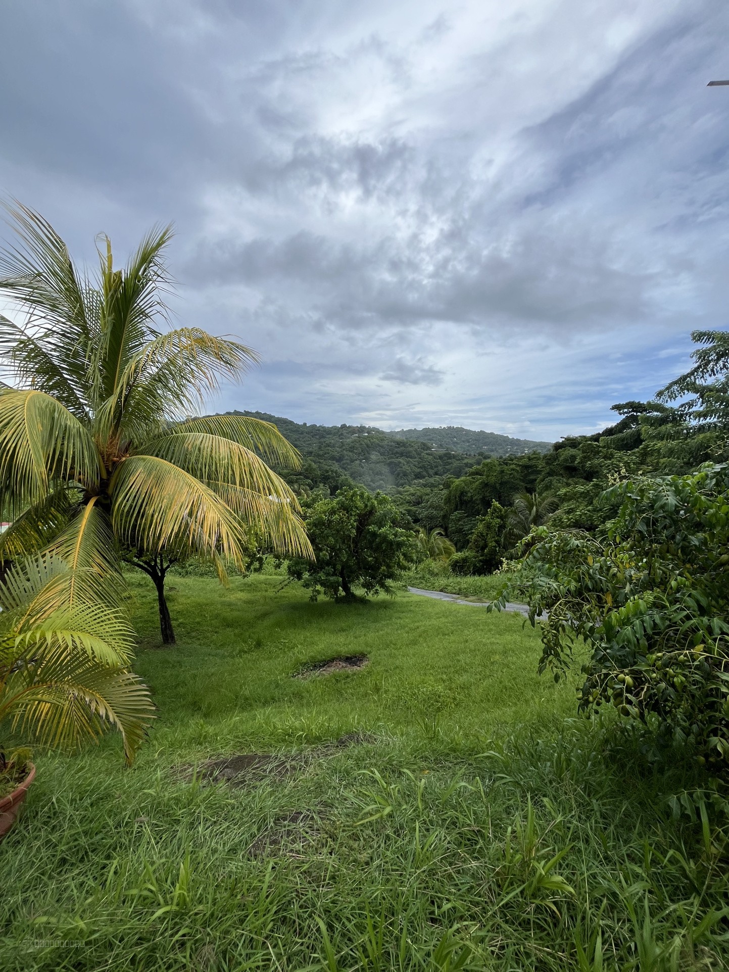 Terrain de 786m2 à acheter 96000 € à Rivière-Pilote — photo 2