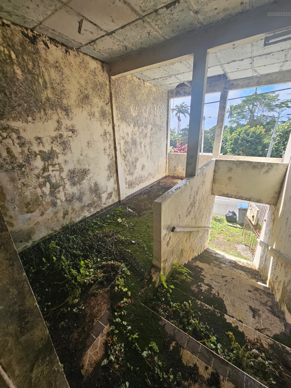 BALATA   Bâtiment à usage mixte 135 m2 — photo 3