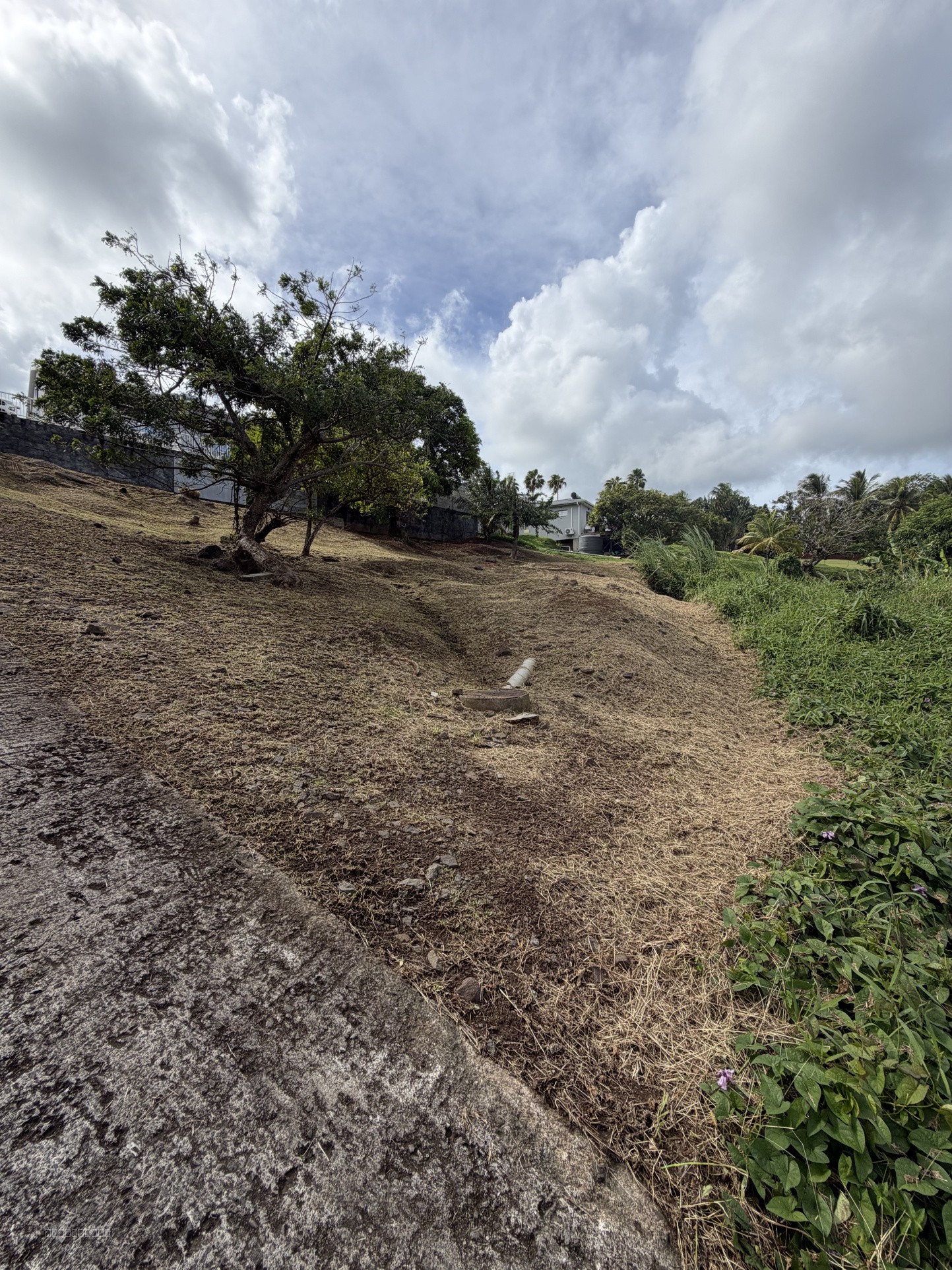 Terrain de 786m2 à acheter 96000 € à Rivière-Pilote — photo 4