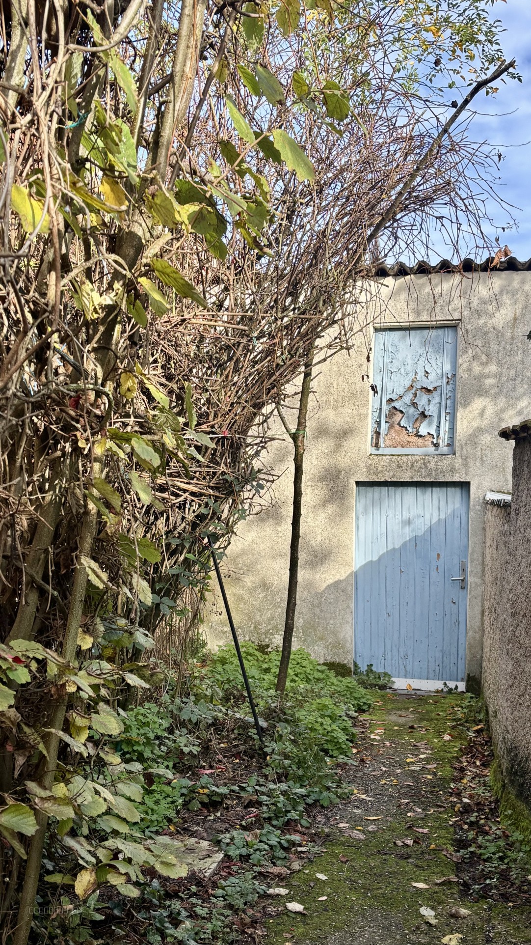 Maison de village T5 avec garage et jardin — photo 14