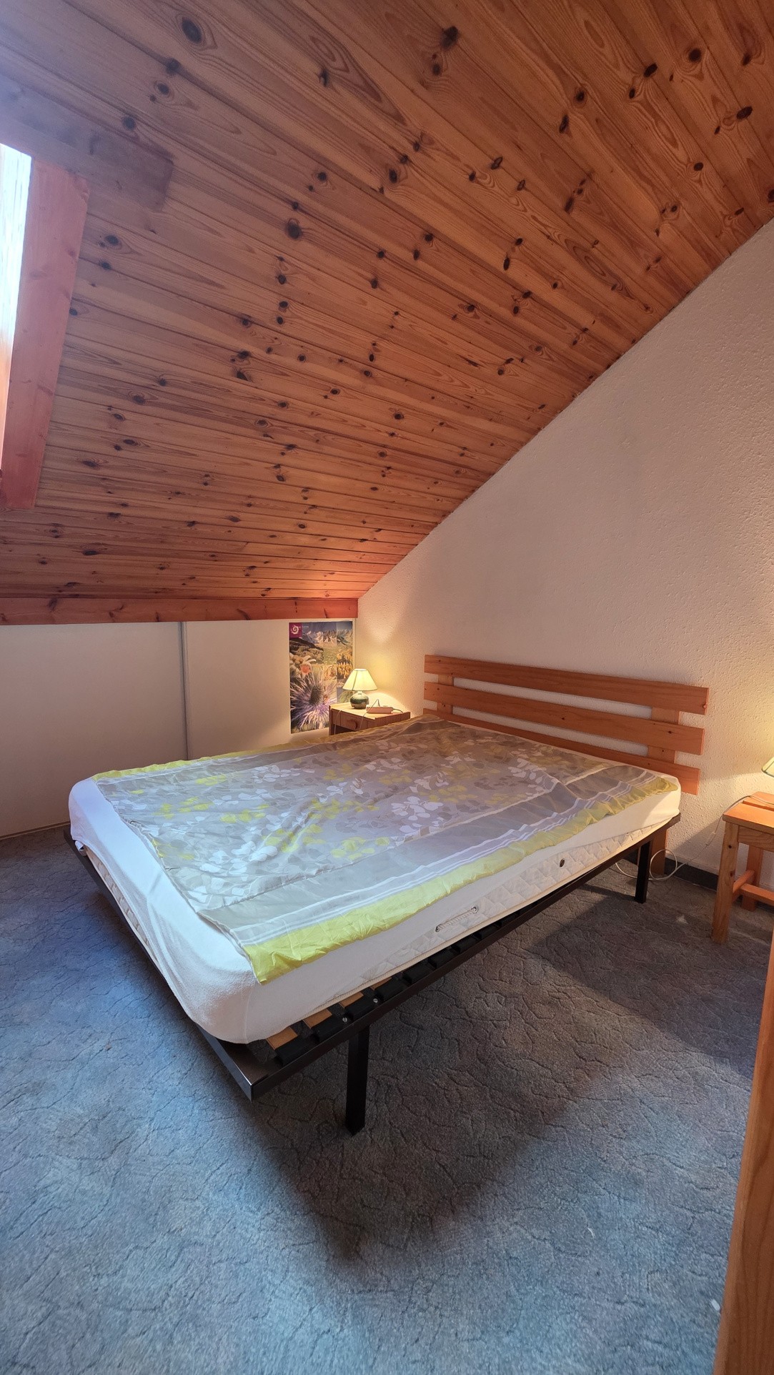 T3 COIN MONTAGNE en duplex — photo 11