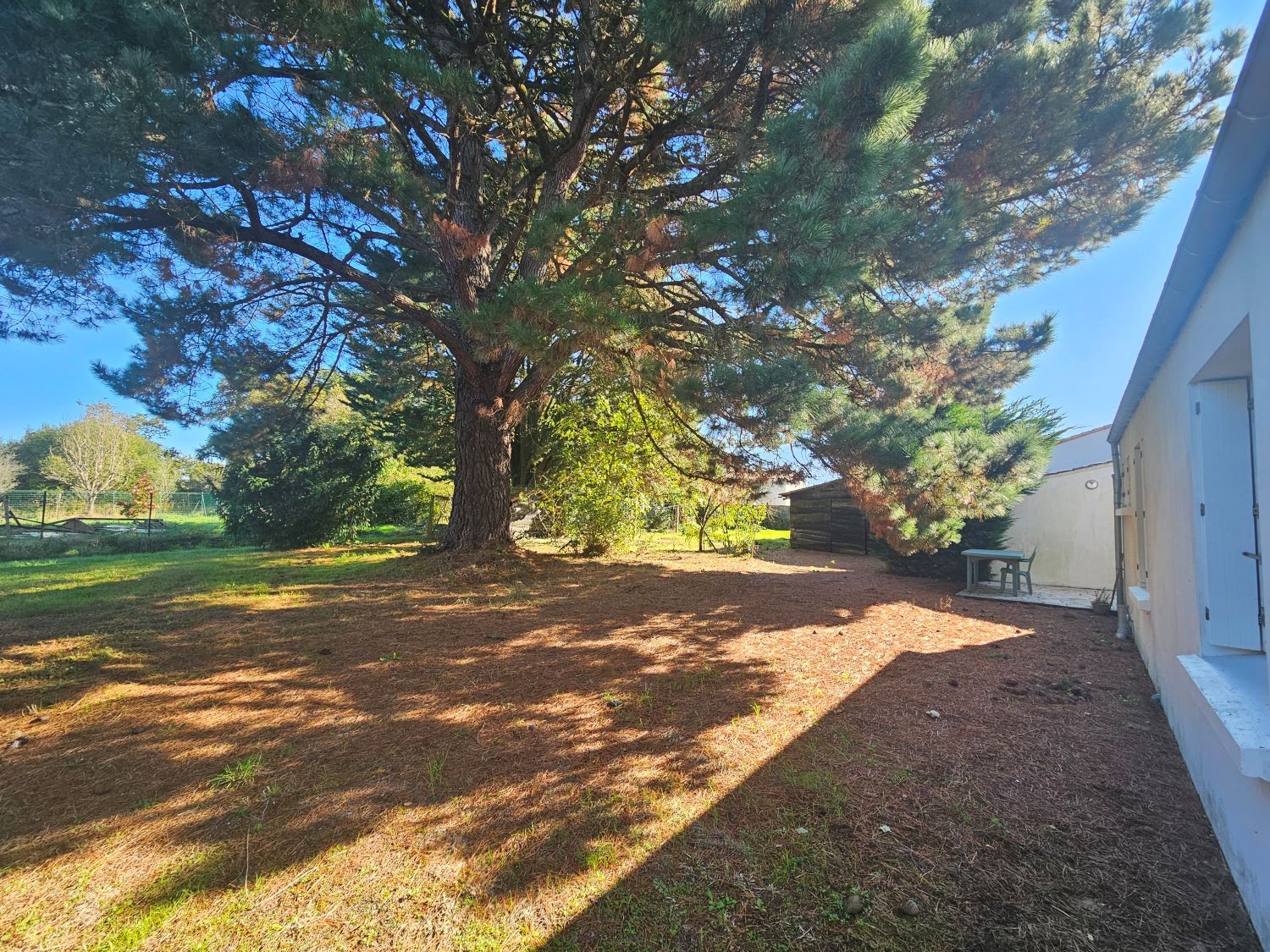 maison à rénover avec grand terrain — photo 12