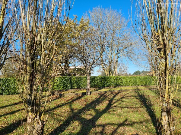 Terrain à bâtir — photo 3