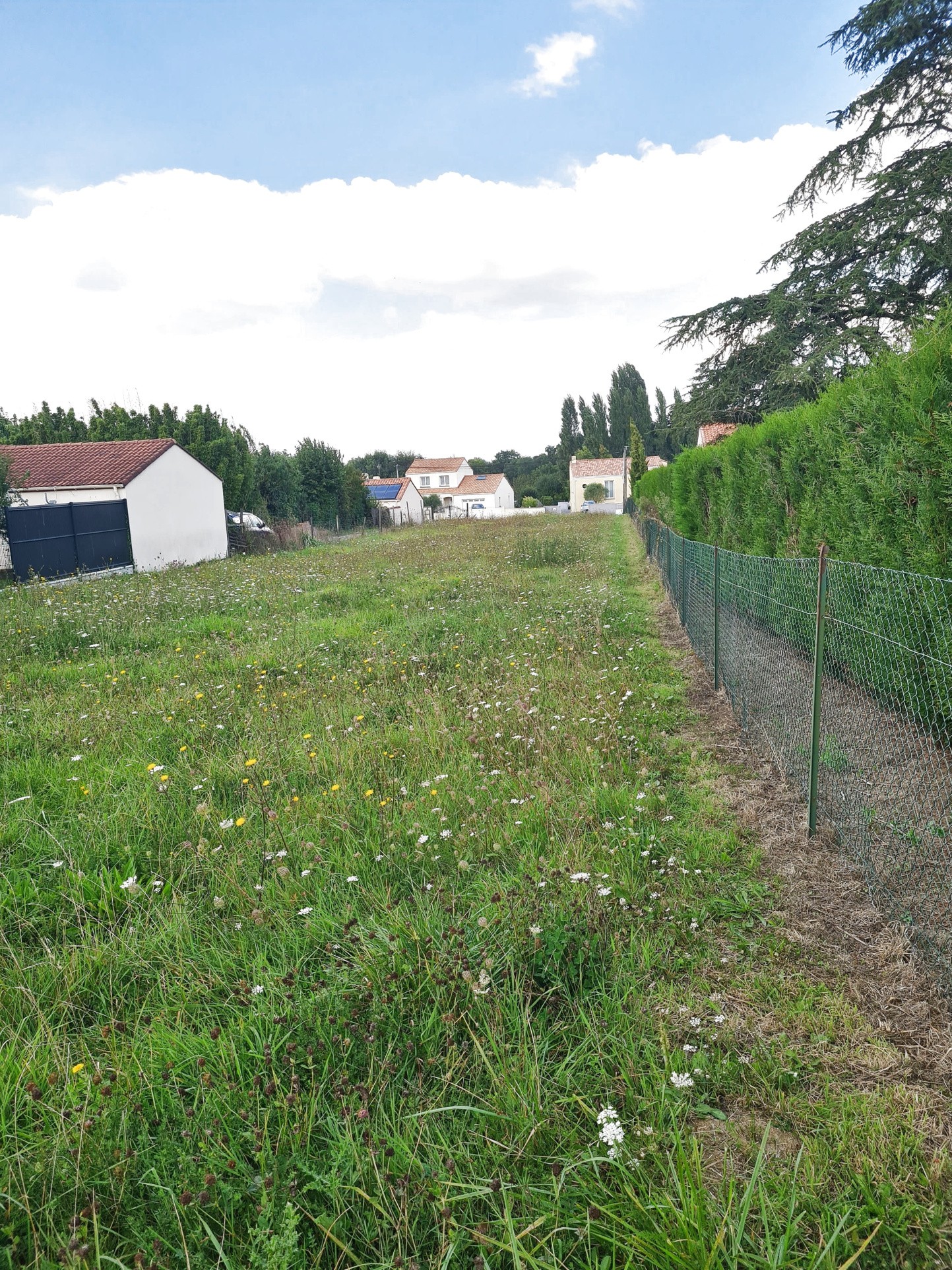 TERRAIN CONSTRUCTIBLE — photo 3