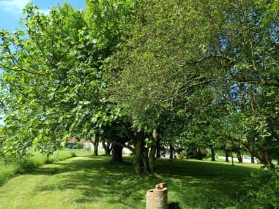 Maison familiale — photo 3