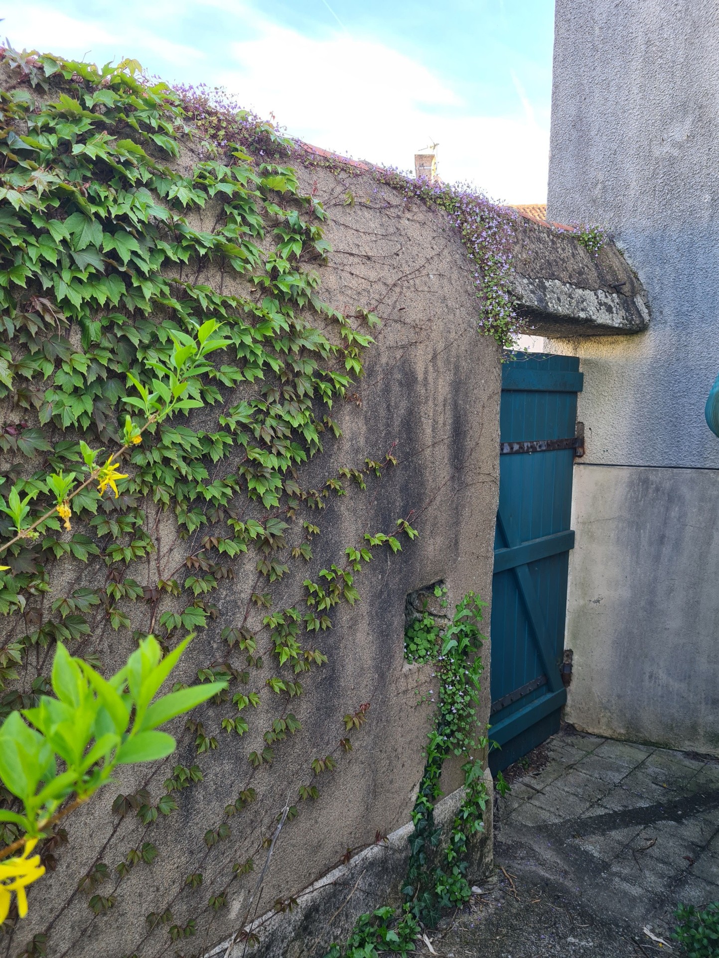 Maison ancienne à finir de rénover — photo 13