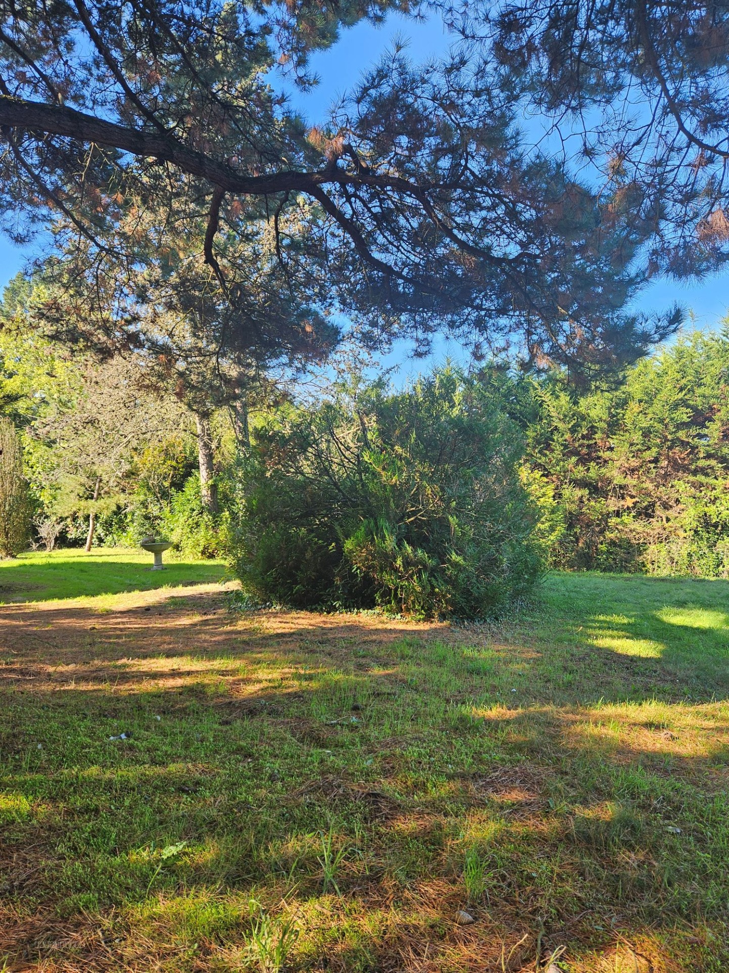 maison à rénover avec grand terrain — photo 2