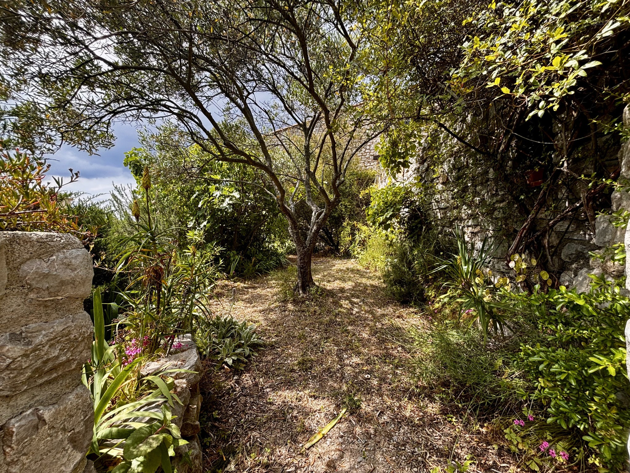 Villa familiale — photo 7