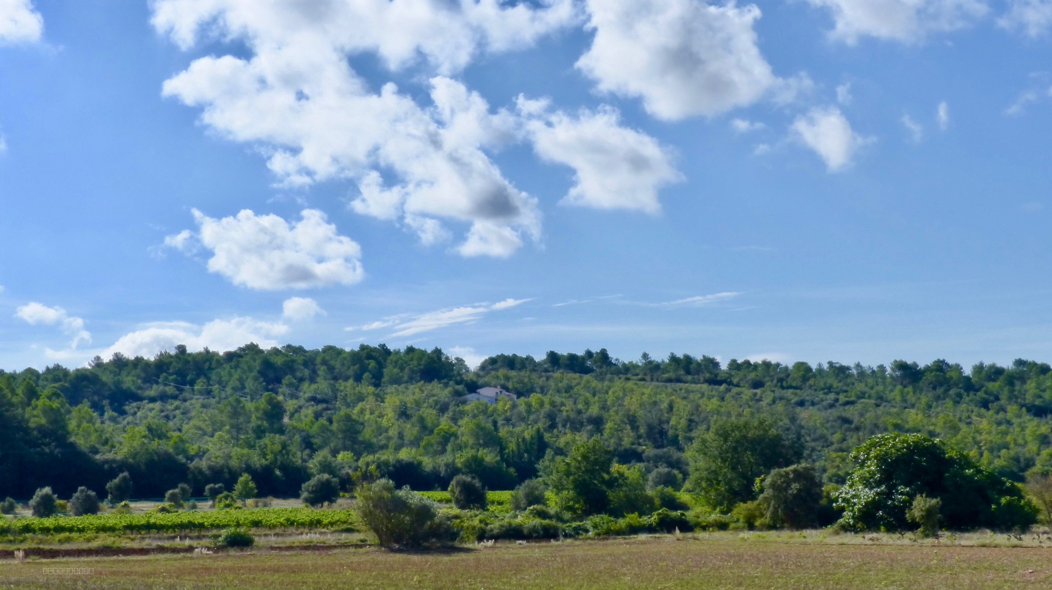 Domaine en position dominante comprennent 2 maisons et piscine — photo 6