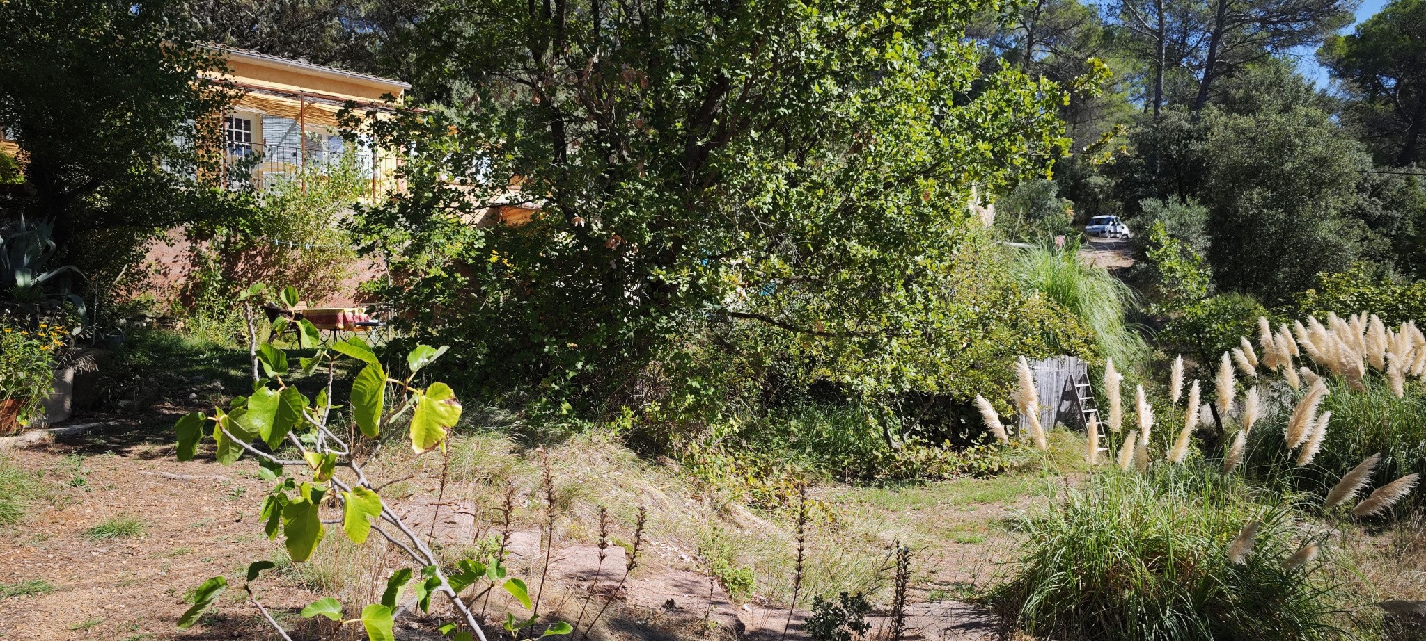 Propriété avec dépendances et vue montagne à Barjols — photo 2