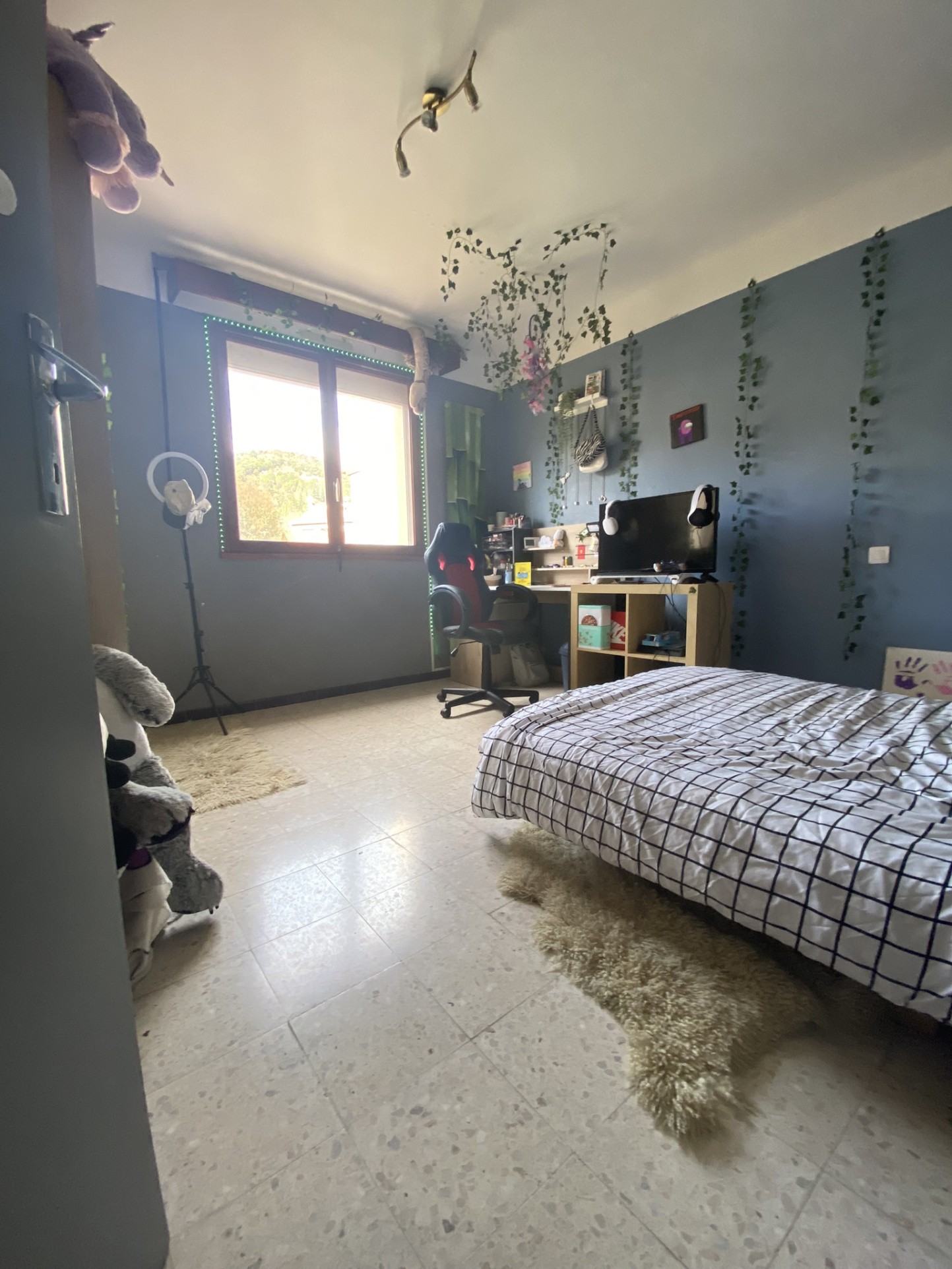 MAISON AVEC JARDIN DANS LE VALLESPIR PROCHE ESPAGNE — photo 5
