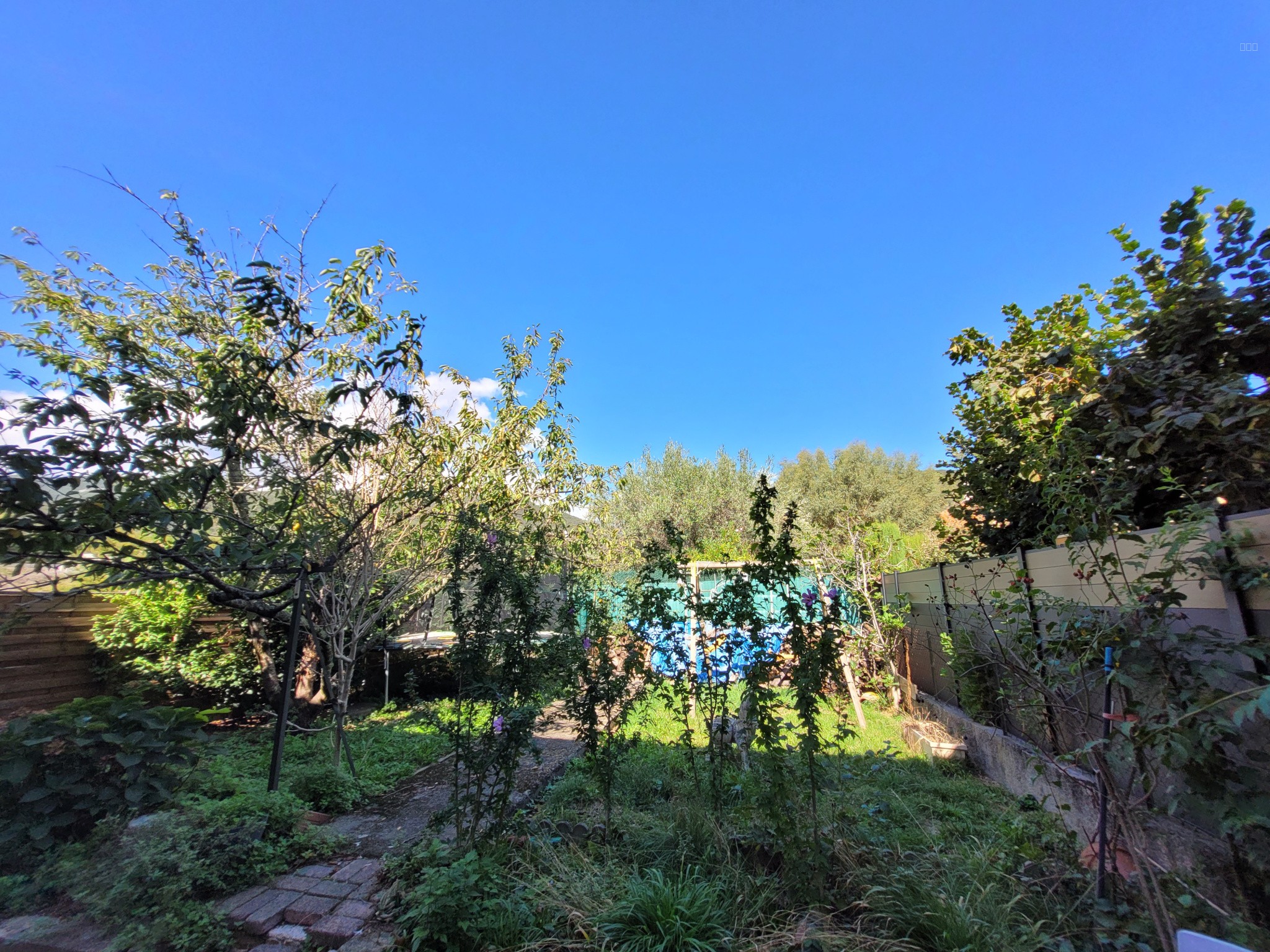 MAISON AVEC JARDIN DANS LE VALLESPIR PROCHE ESPAGNE — photo 11