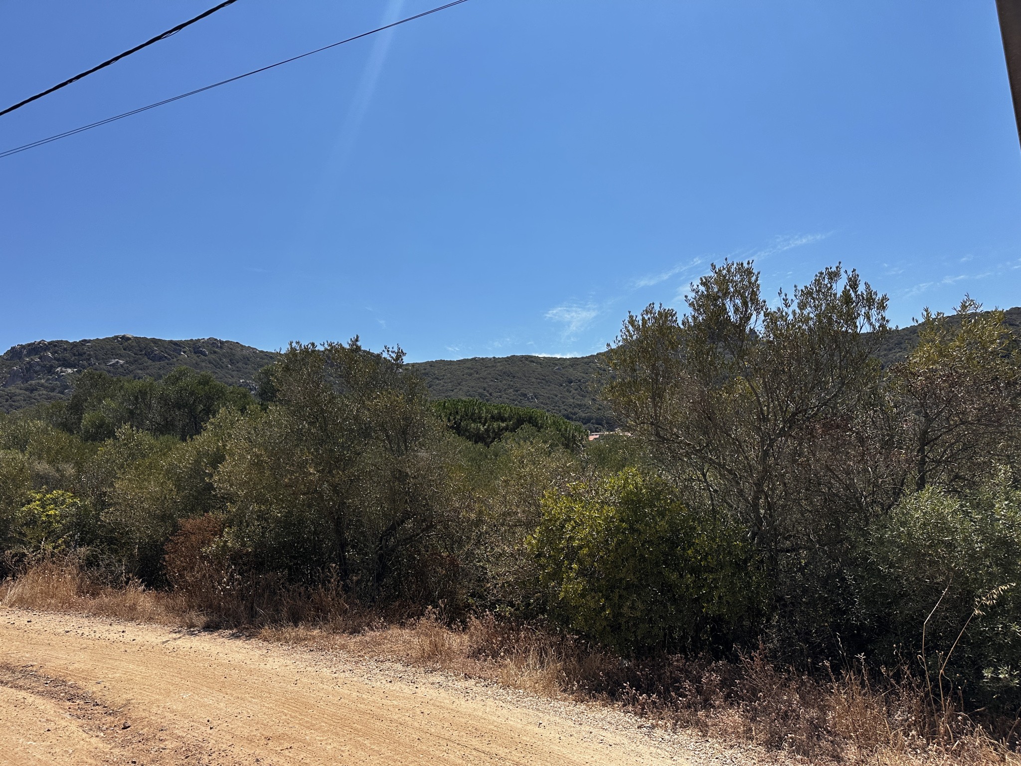 À vendre   Terrain avec vue montagne à Figari — photo 4