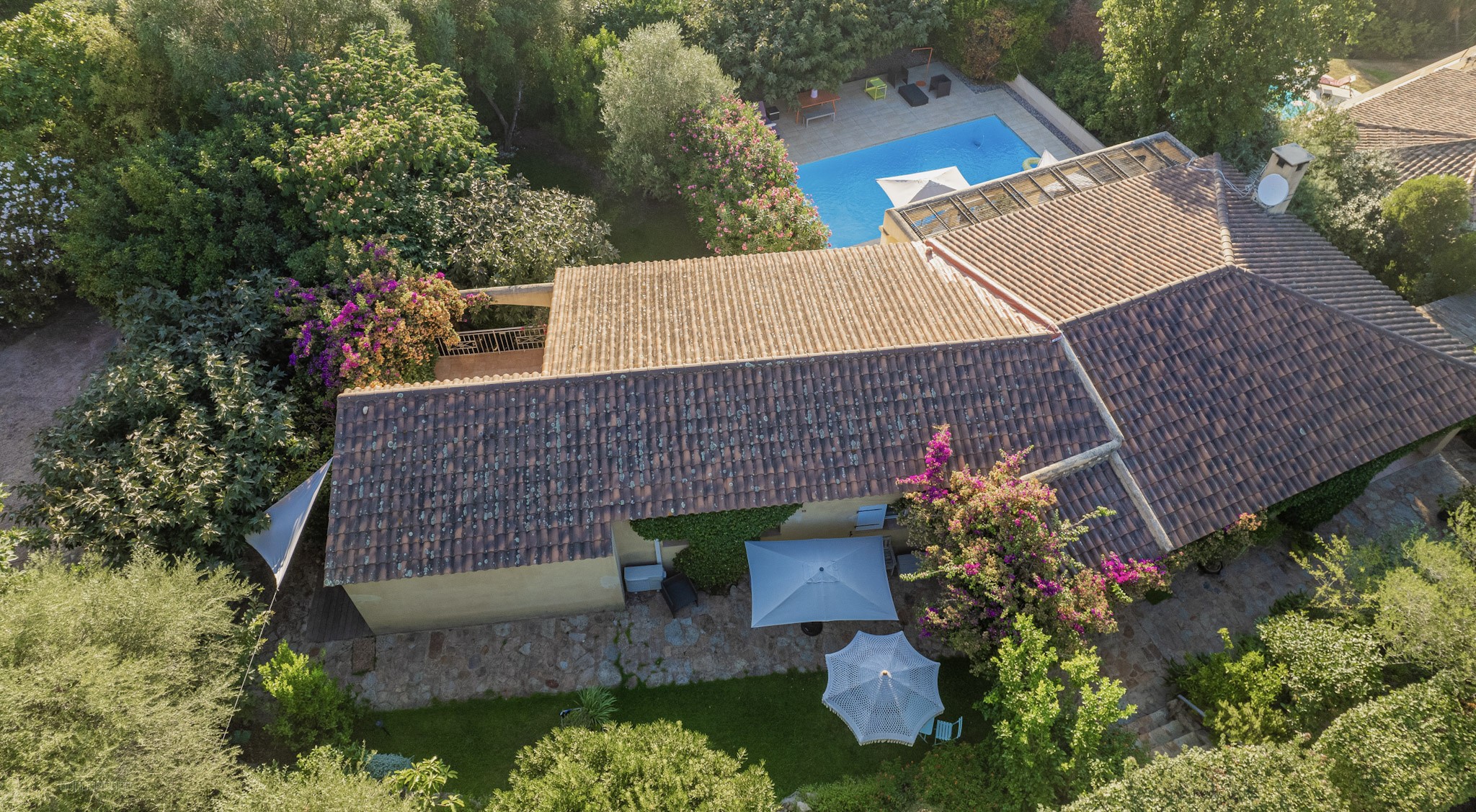 Villa avec magnifique jardin et piscine, centre de Porto Vecchio accessible à pied — photo 2