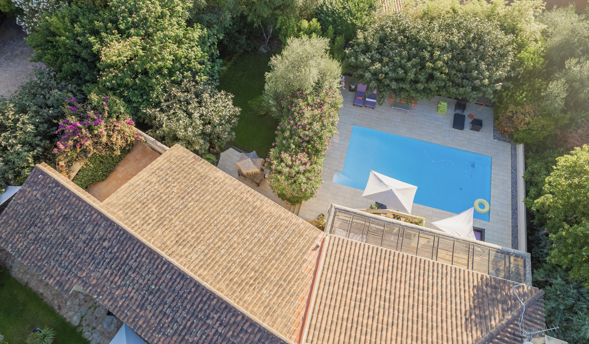 Villa avec magnifique jardin et piscine, centre de Porto Vecchio accessible à pied — photo 15