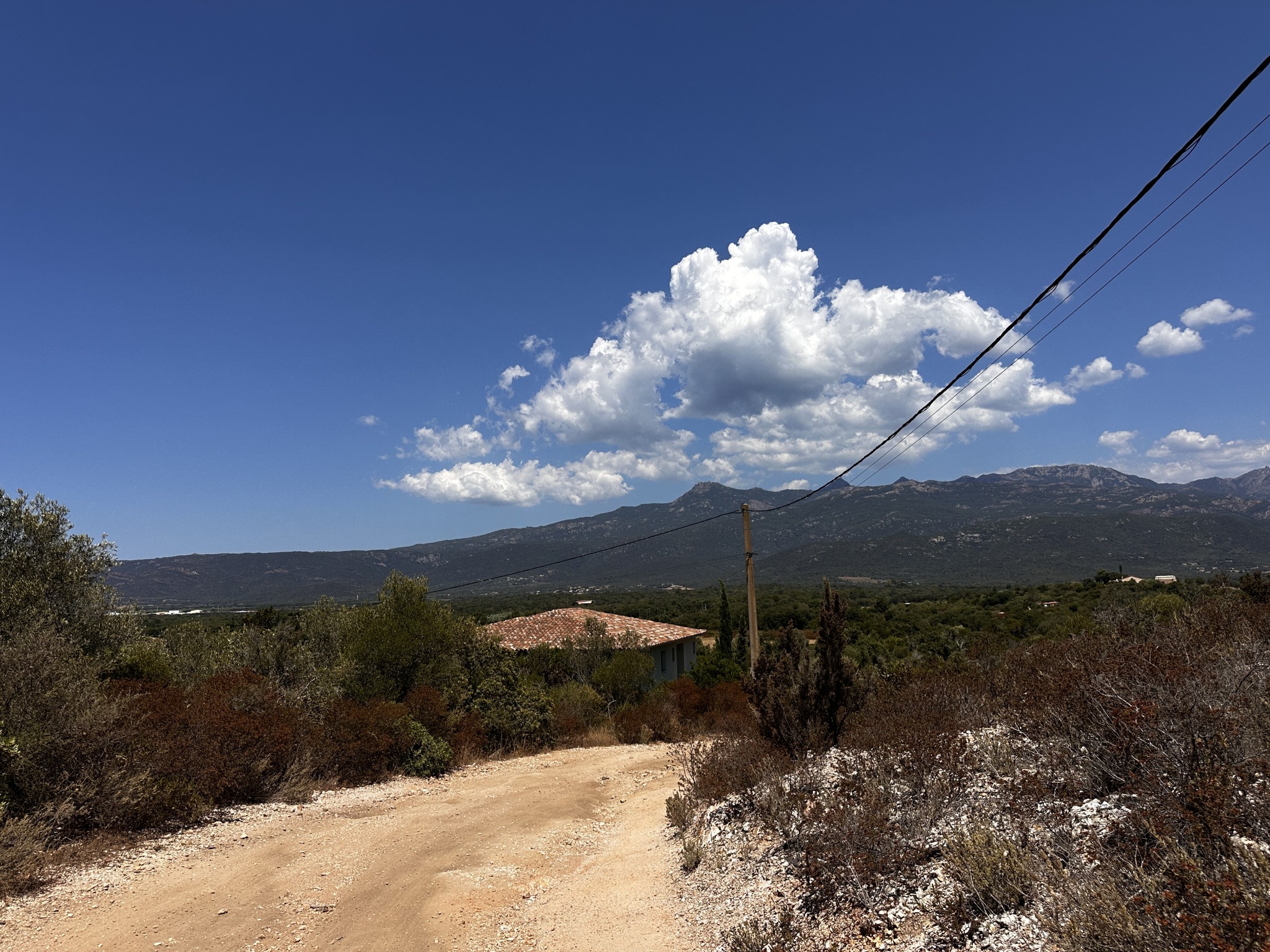 À vendre   Terrain avec vue montagne à Figari — photo 2