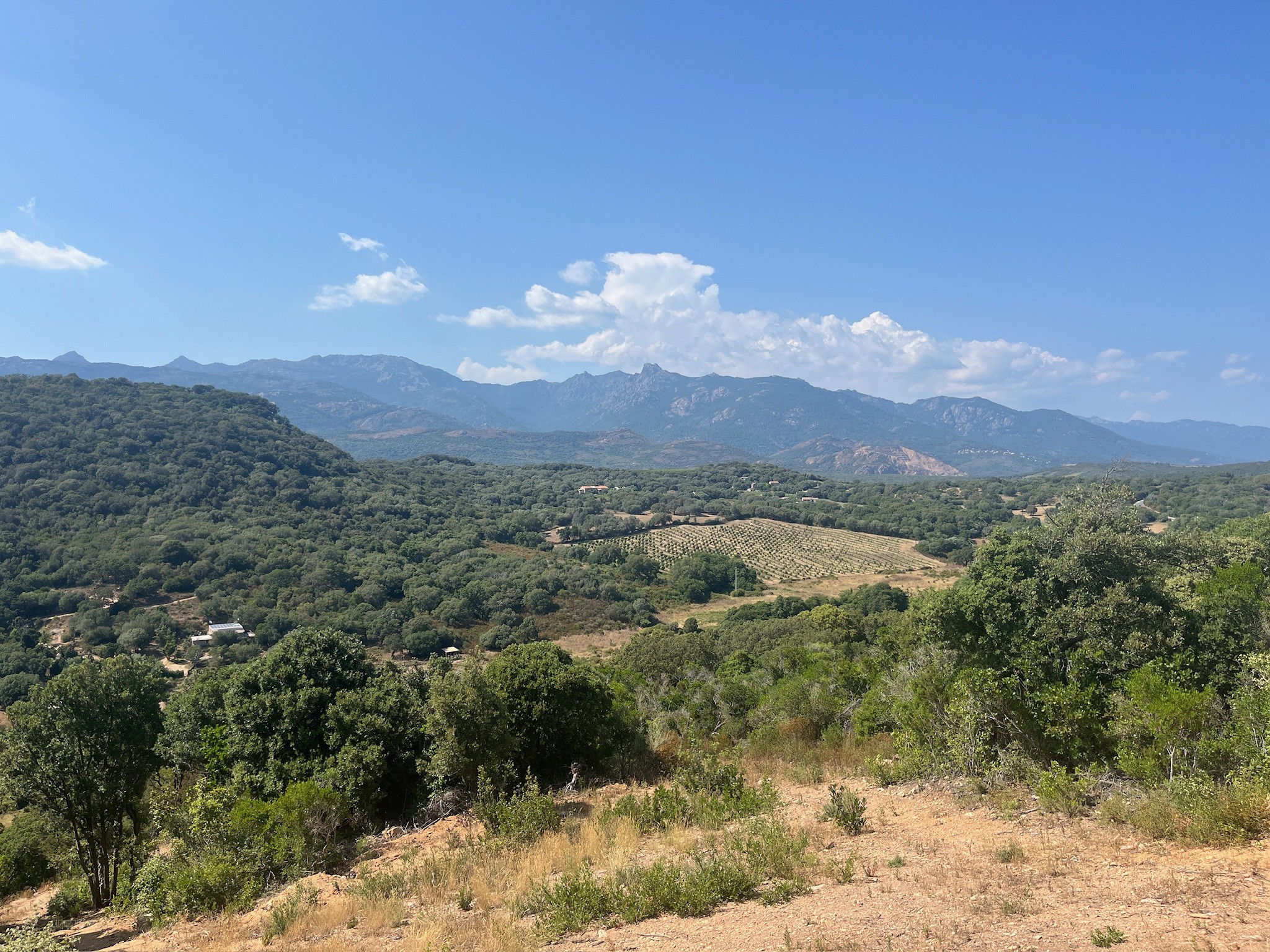Grand terrain avec belle vue dégagée à Figari — photo 2